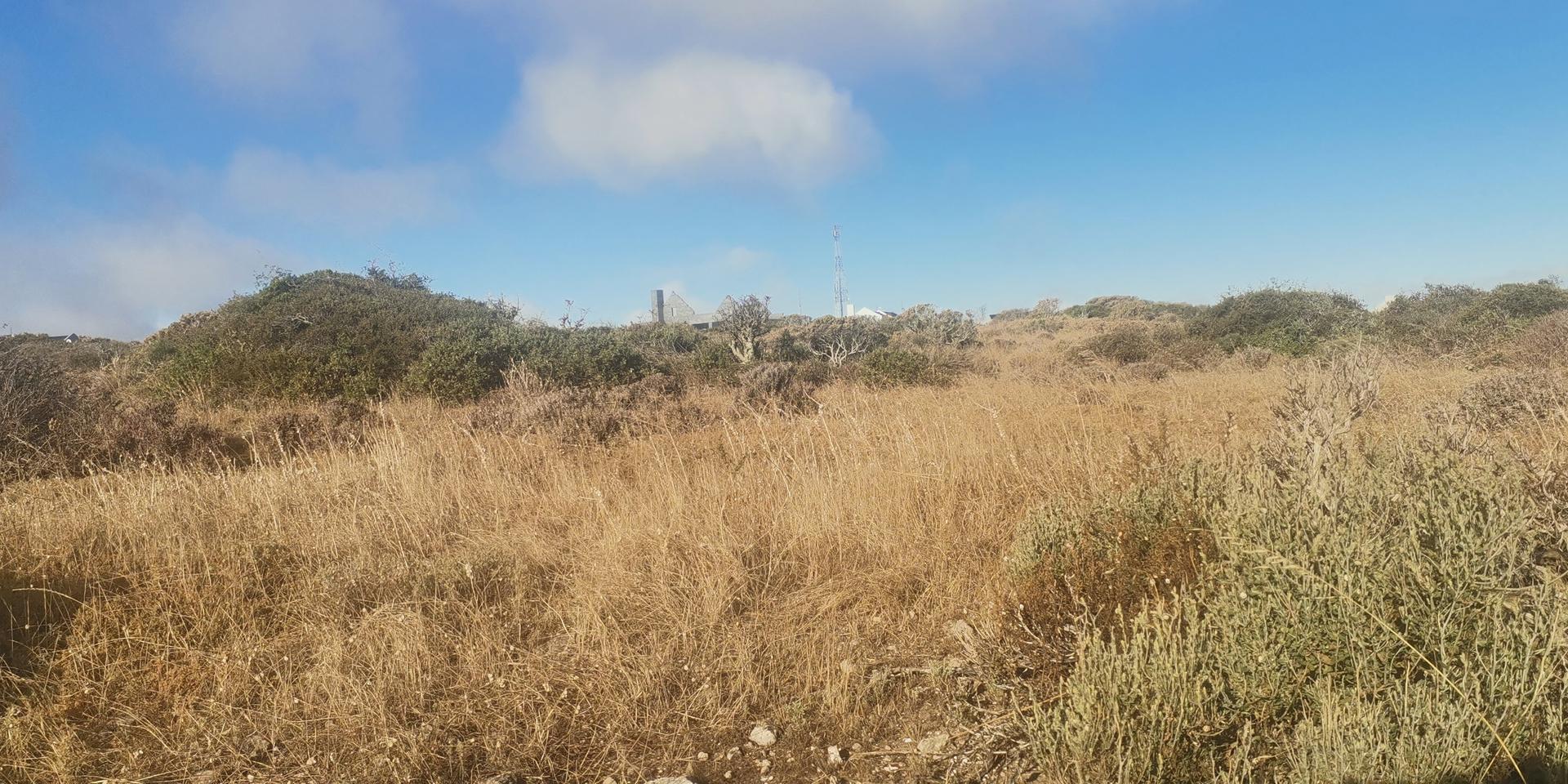 Image 5 of 6