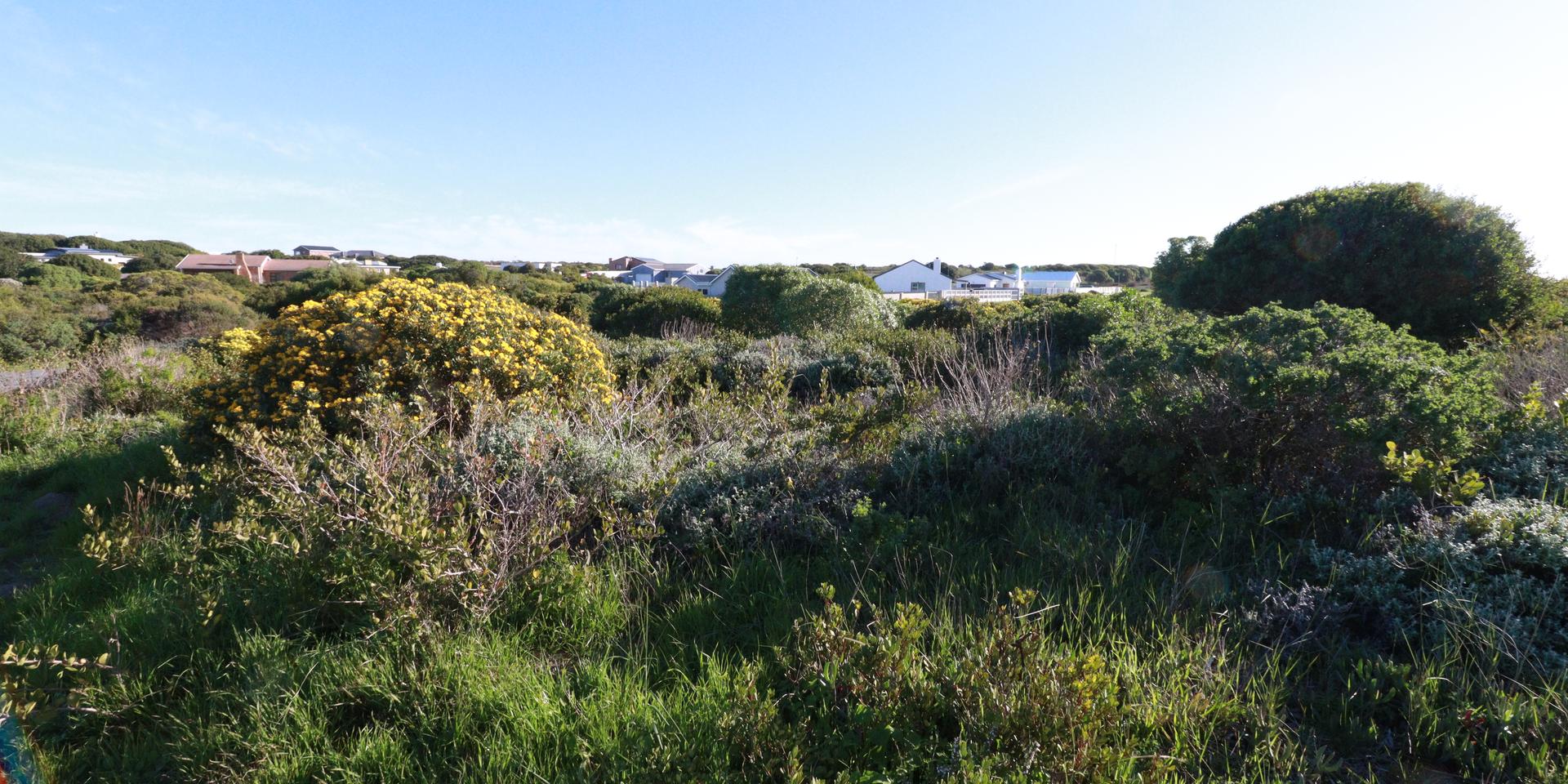 Image 3 of 6
