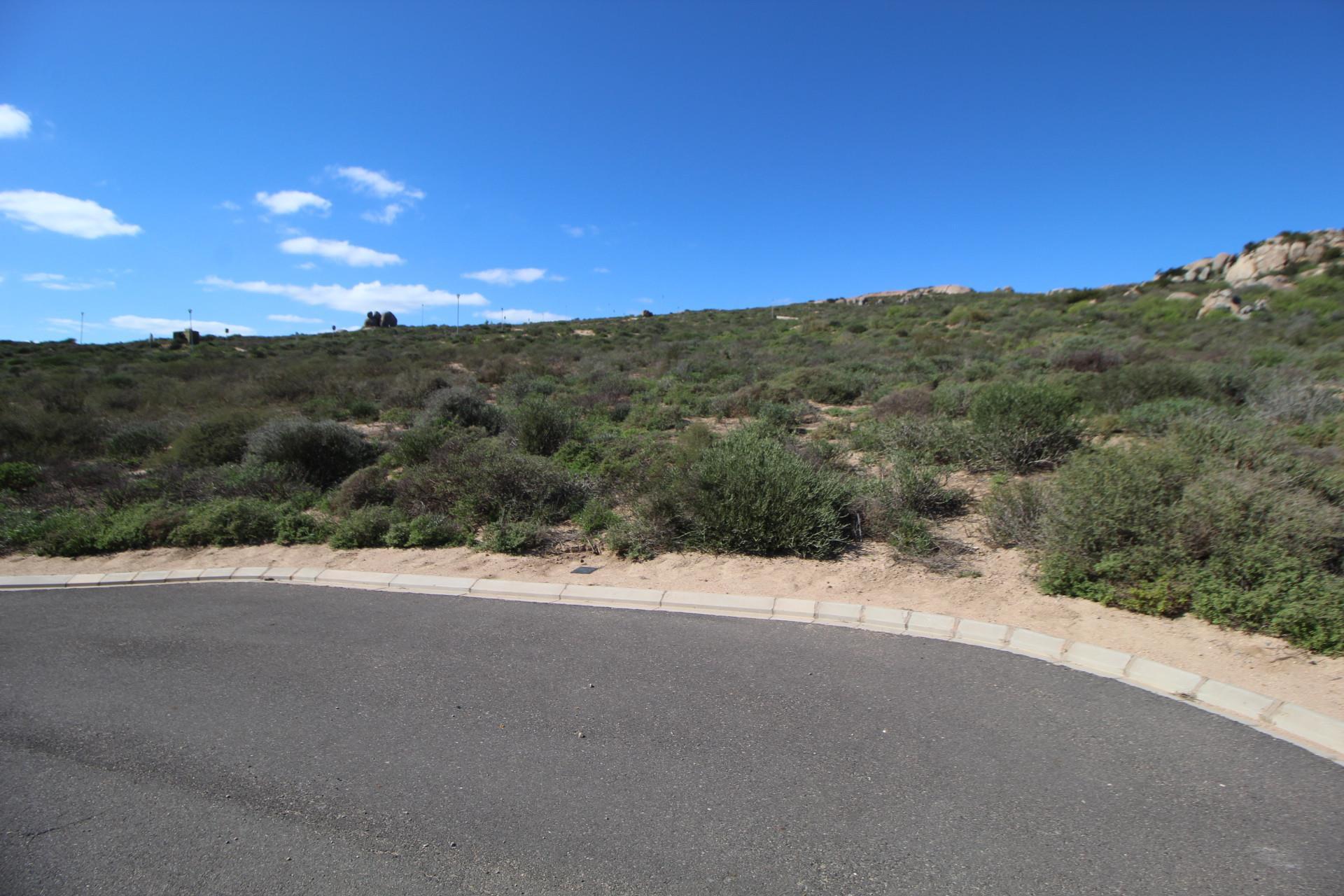 Image 4 of 6