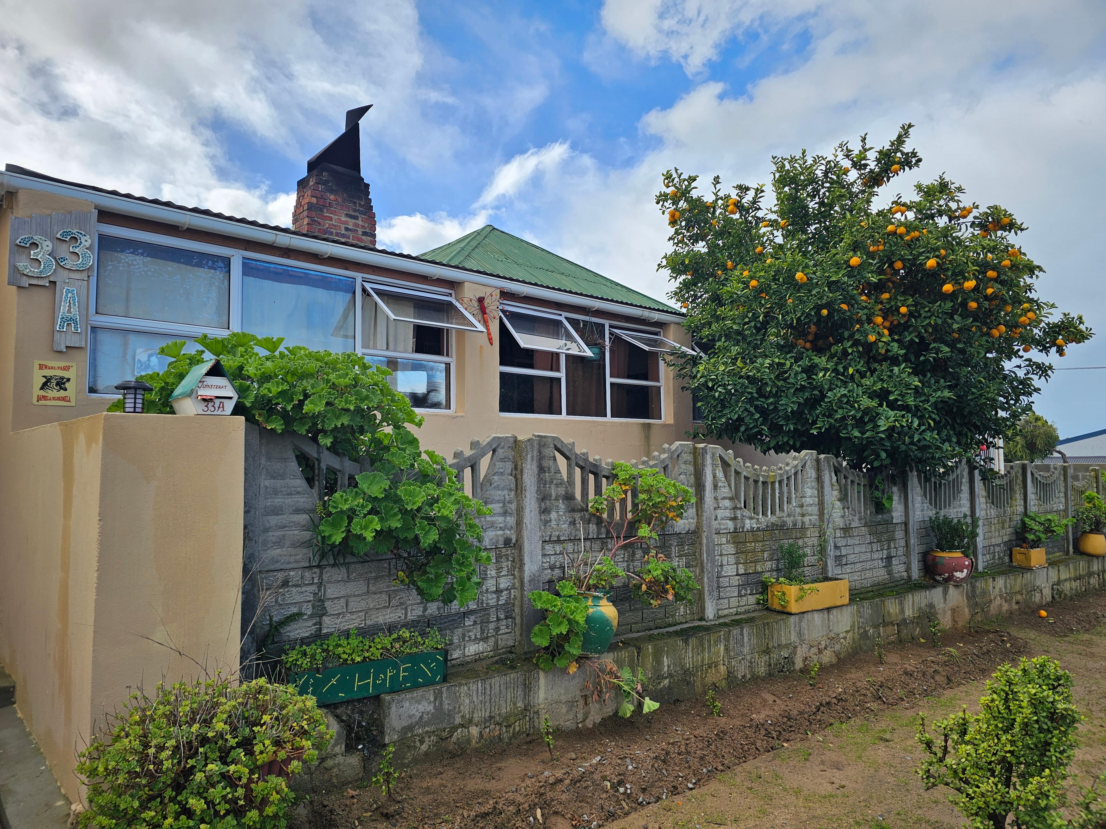 Image 29