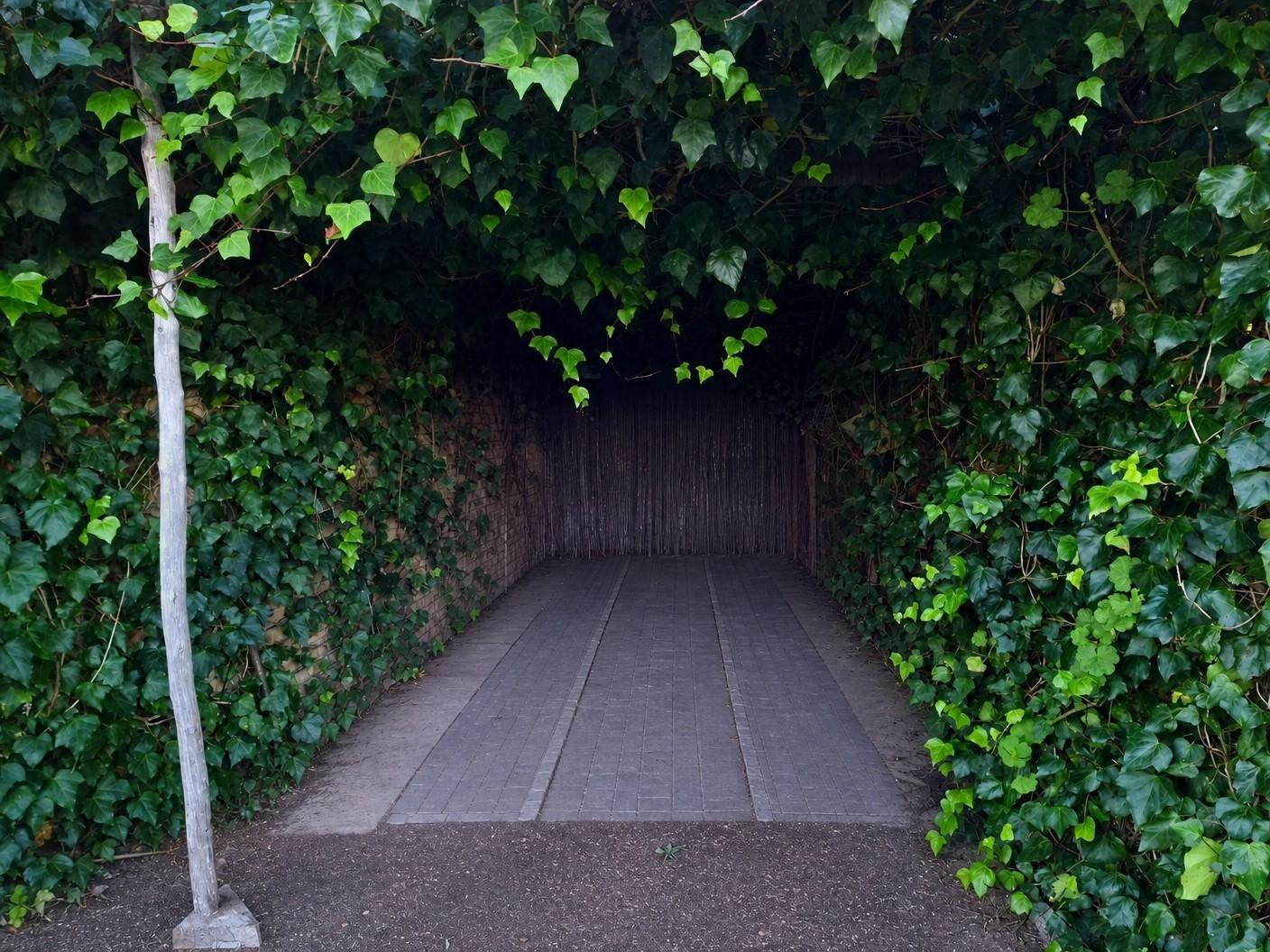 Image 66