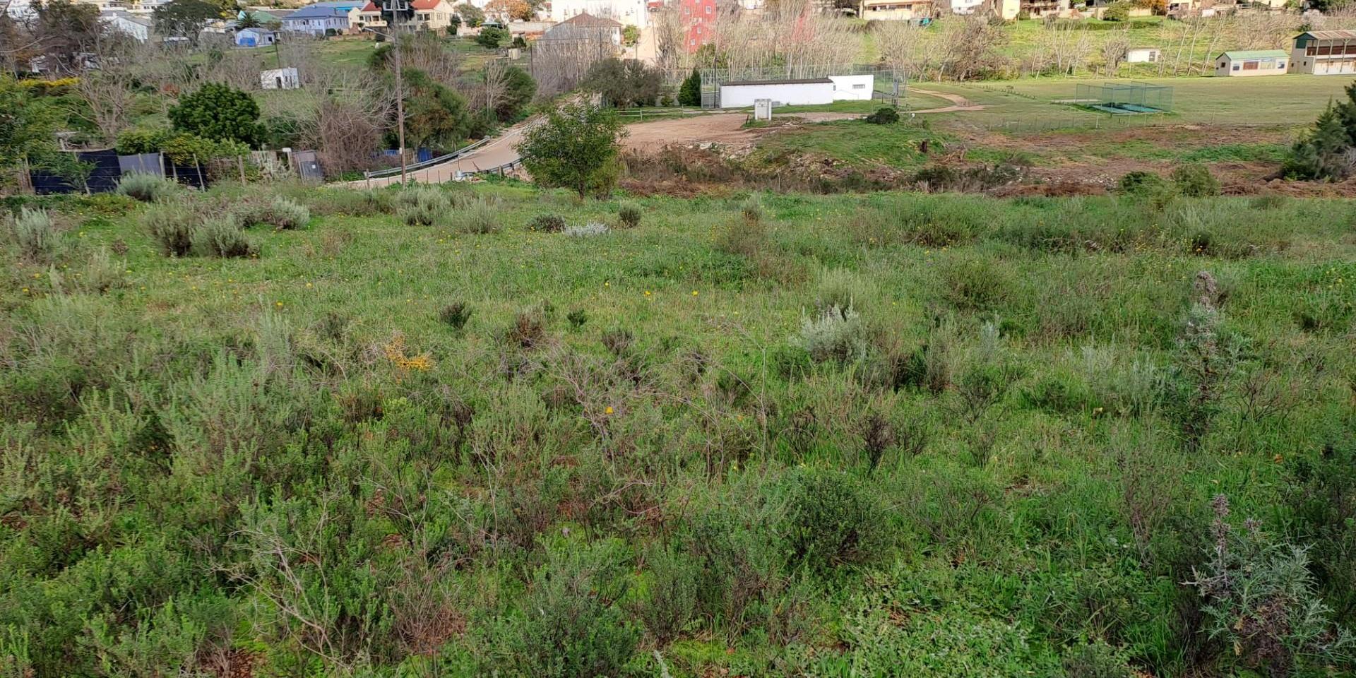 Image 3 of 6