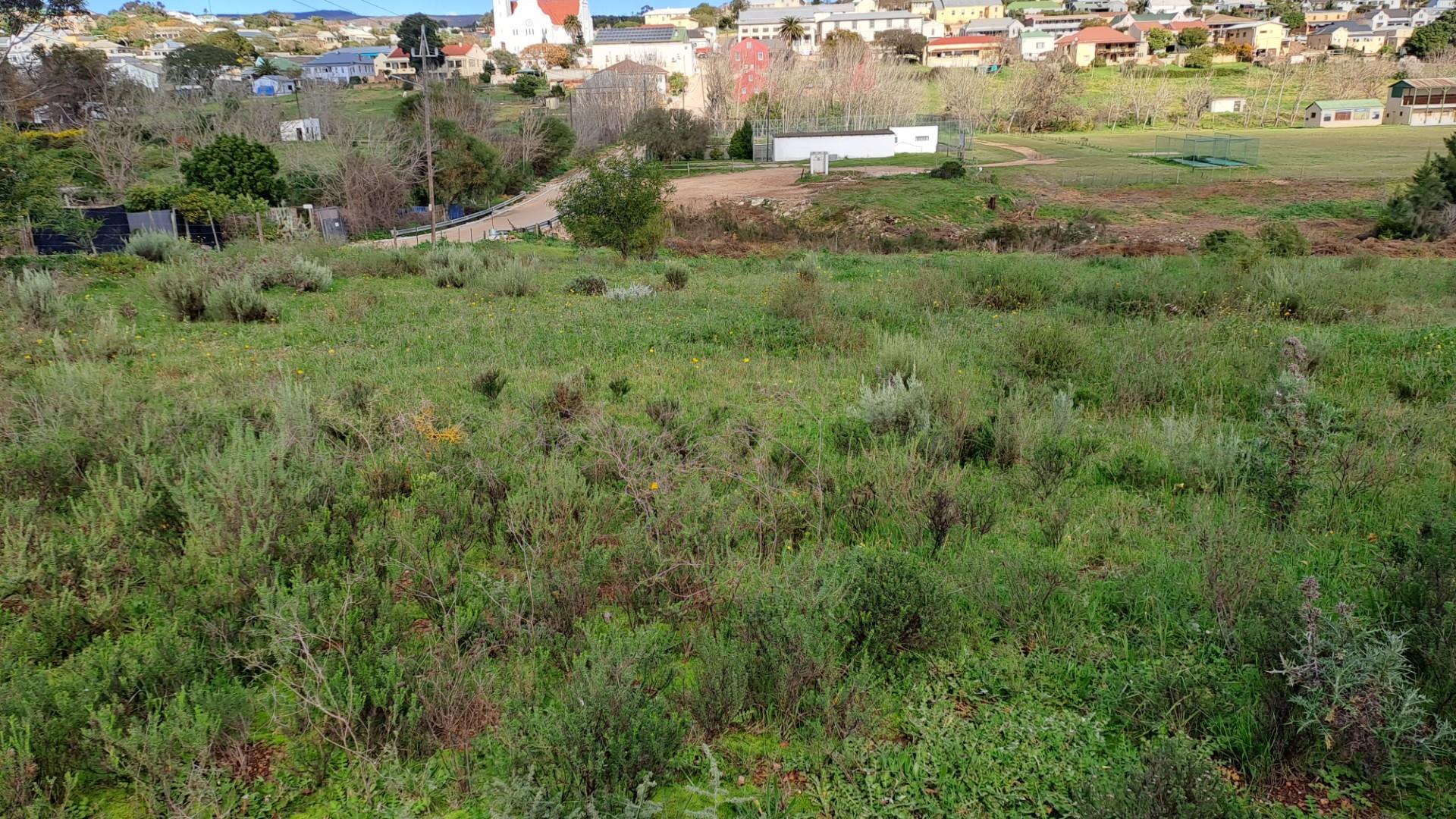 Image 3 of 6