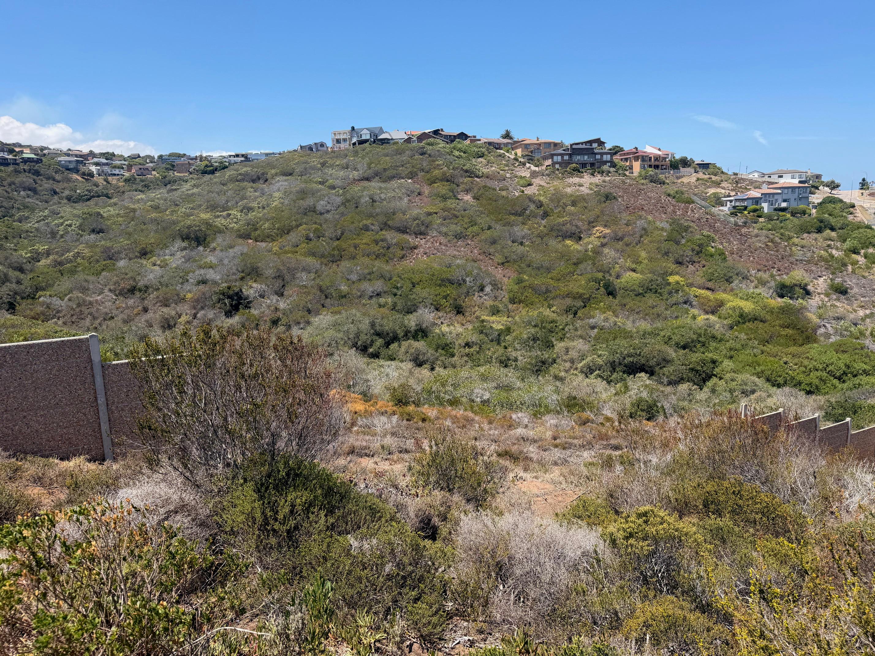 Image 4 of 6