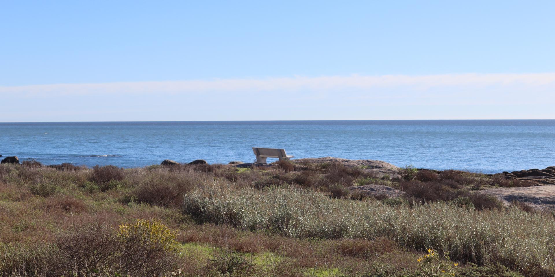Image 4 of 6