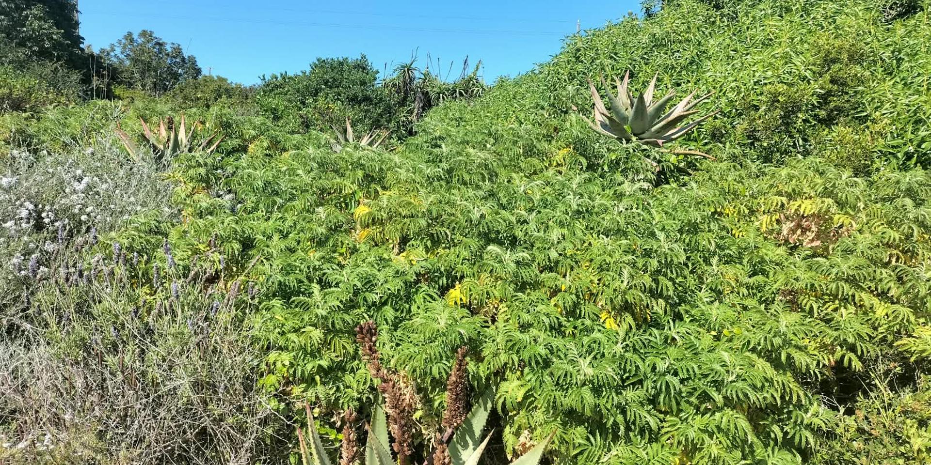 Image 2 of 6