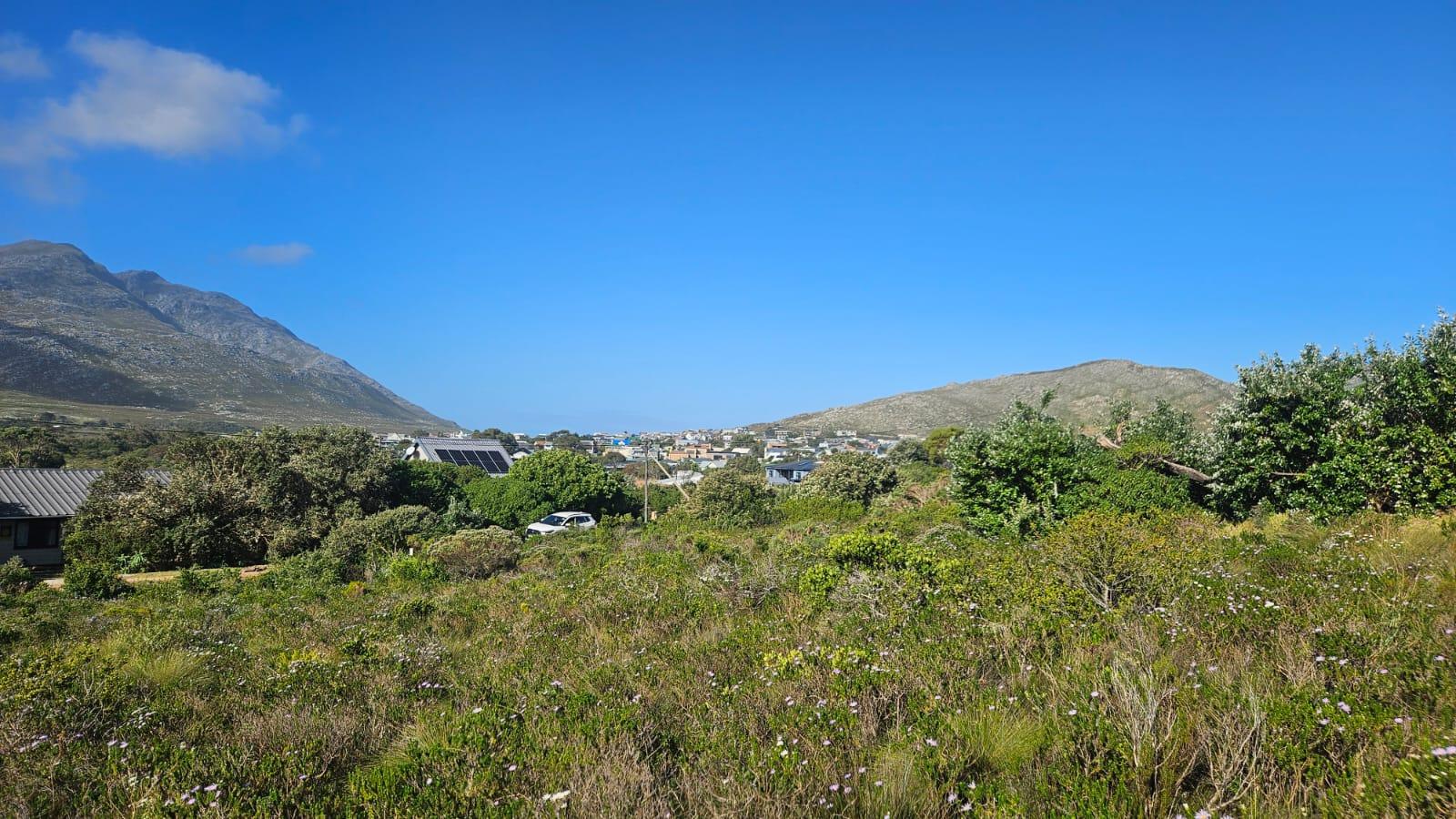 Image 5 of 6