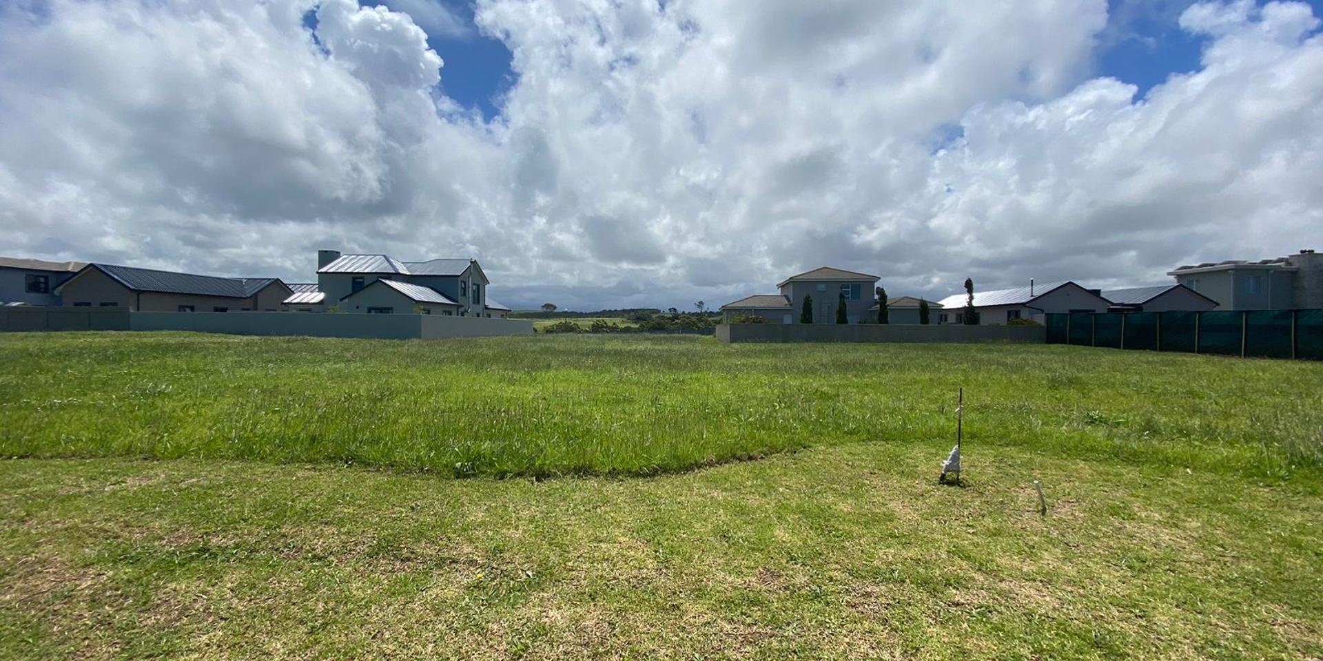 Image 2 of 6