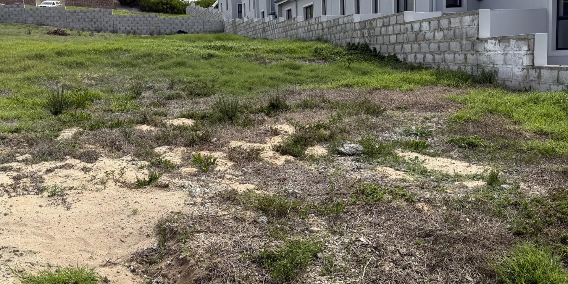 Image 5 of 6