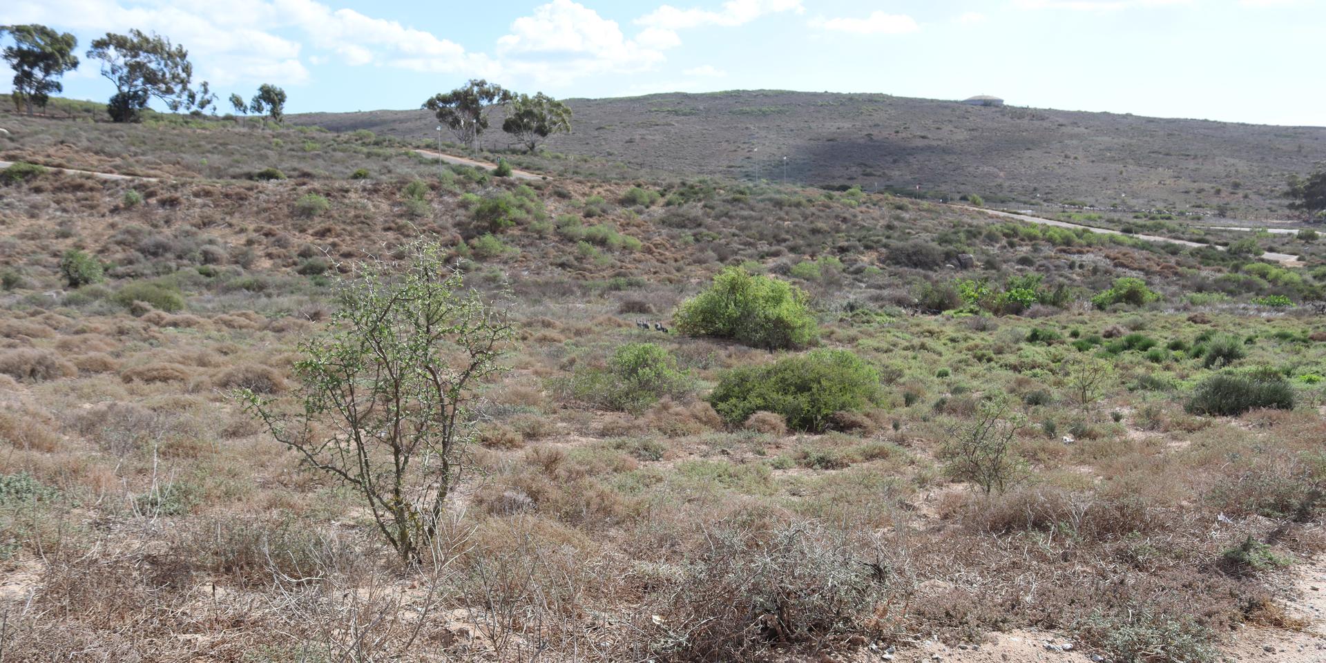 Image 4 of 6