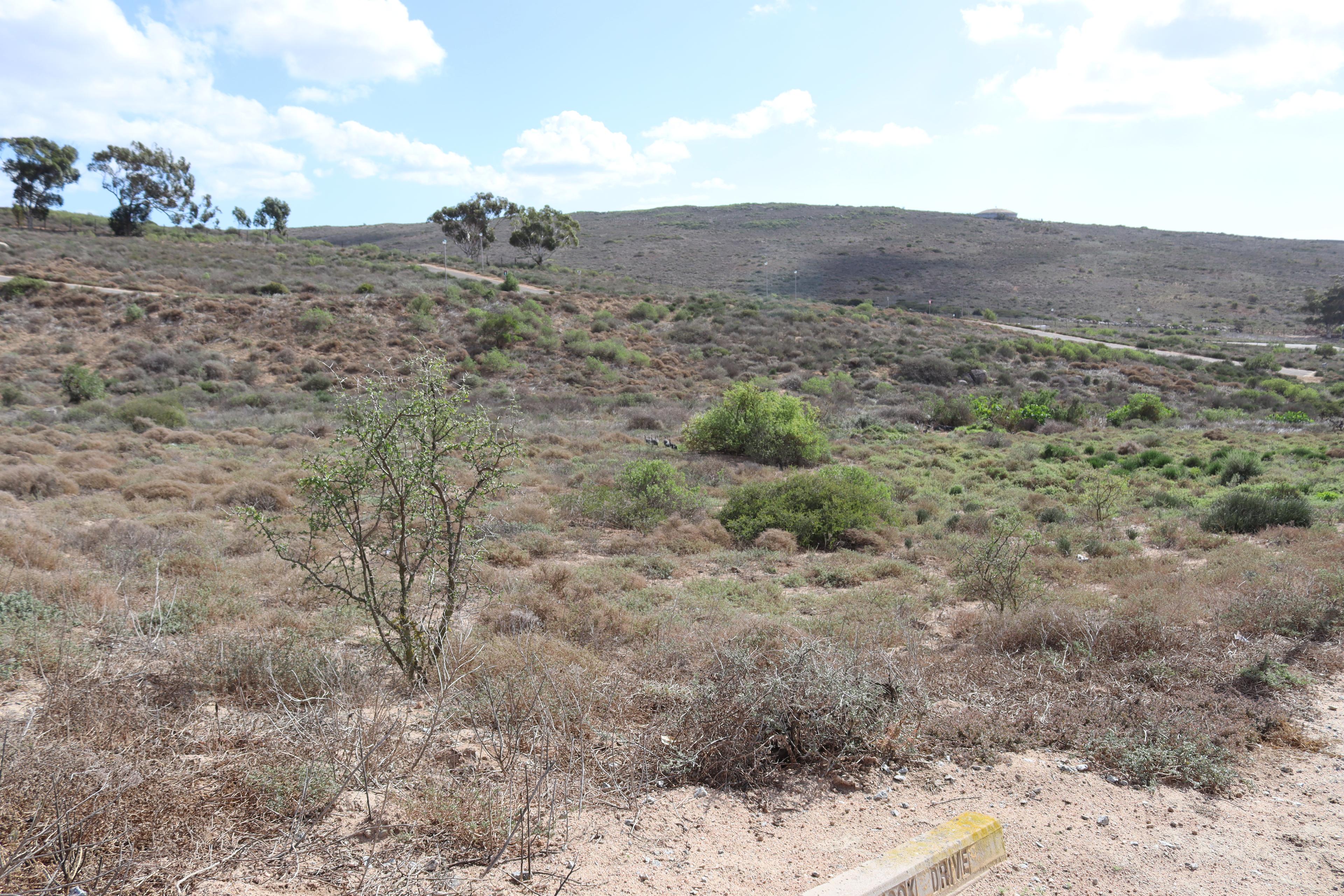 Image 4 of 6