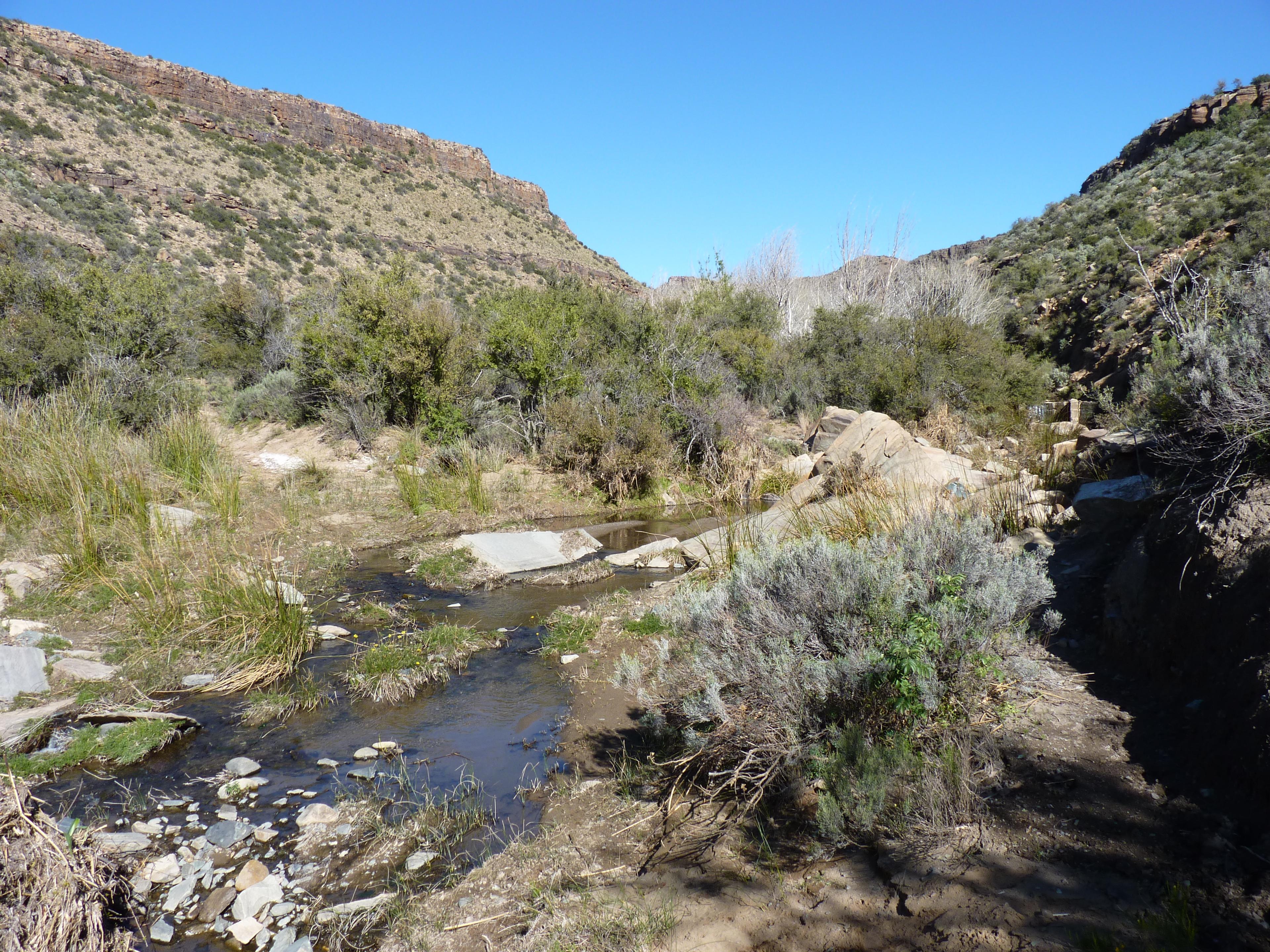 Image 19