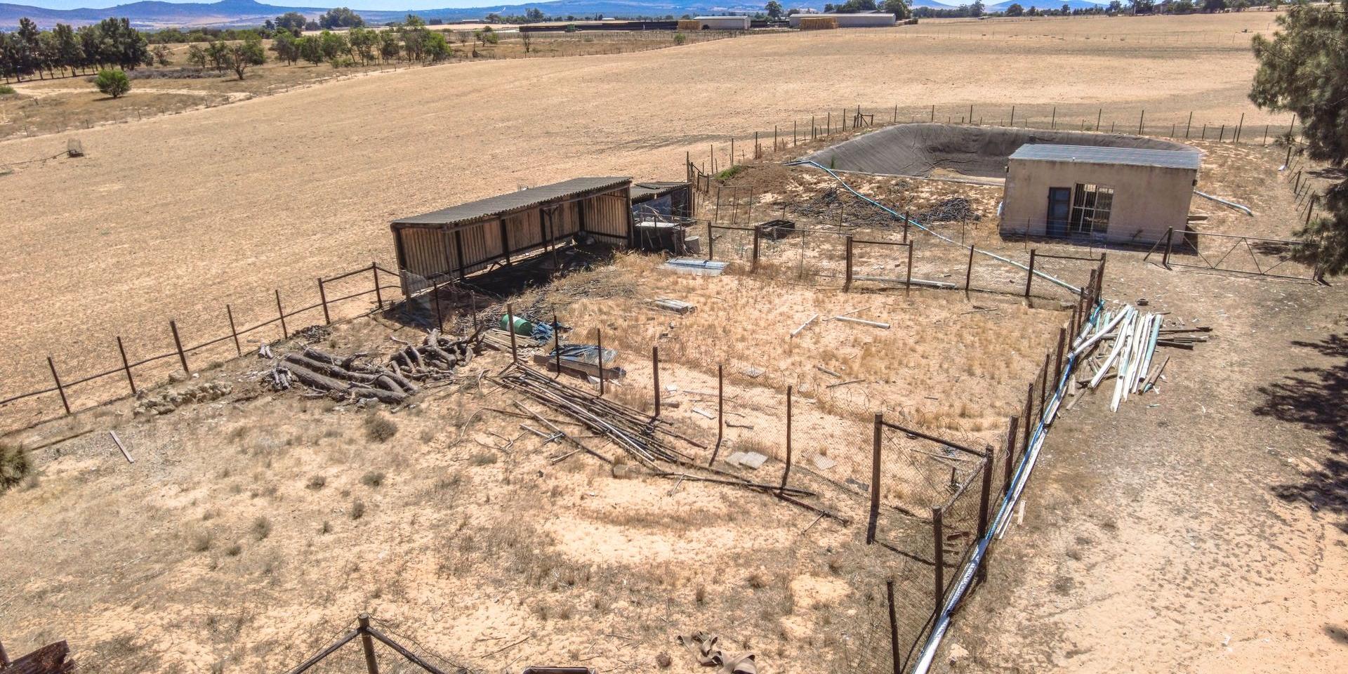 Image 5 of 6