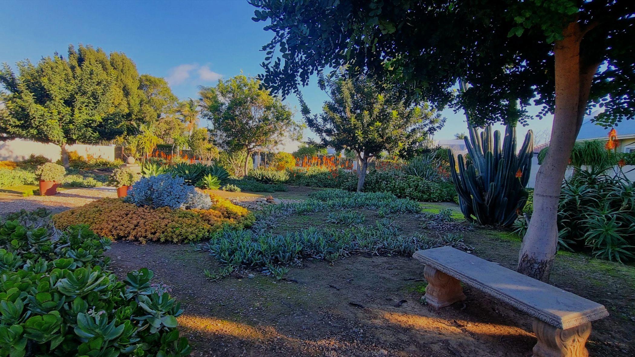 Image 27