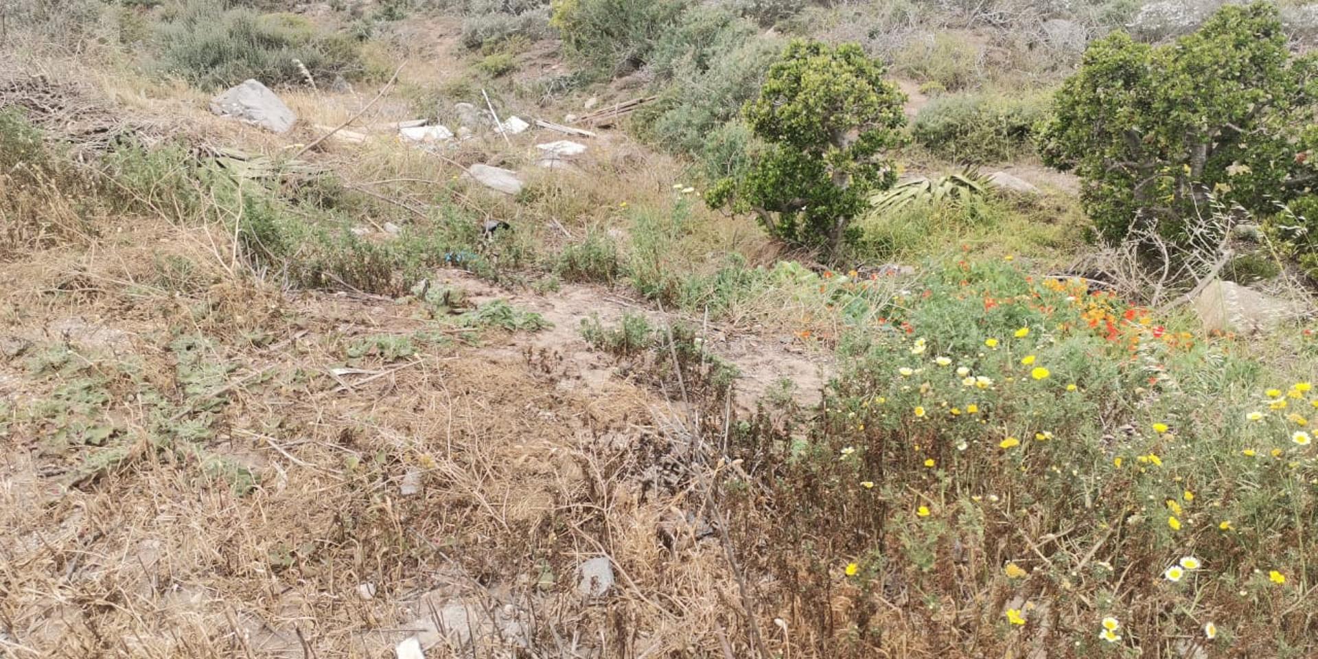 Image 2 of 6