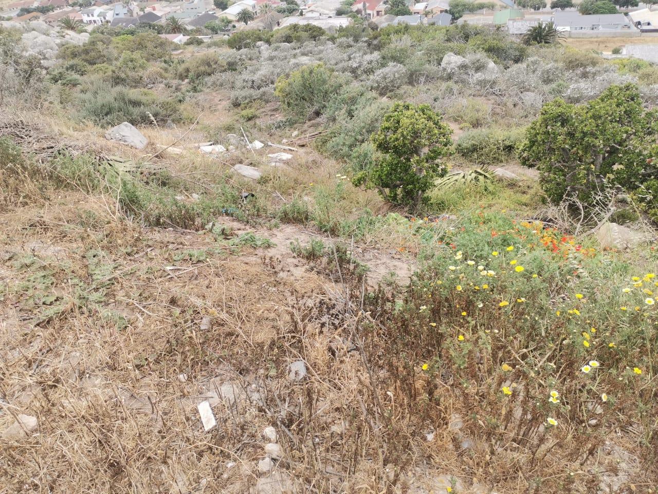 Image 2 of 6
