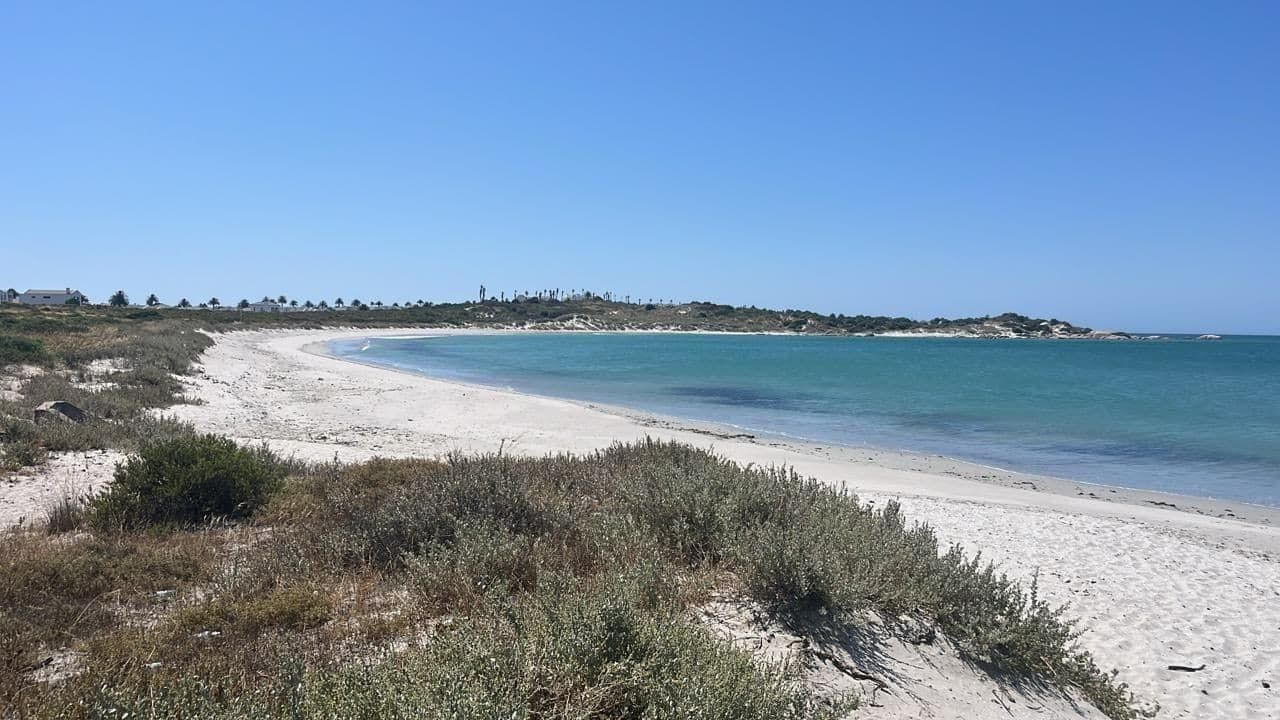 Image 10