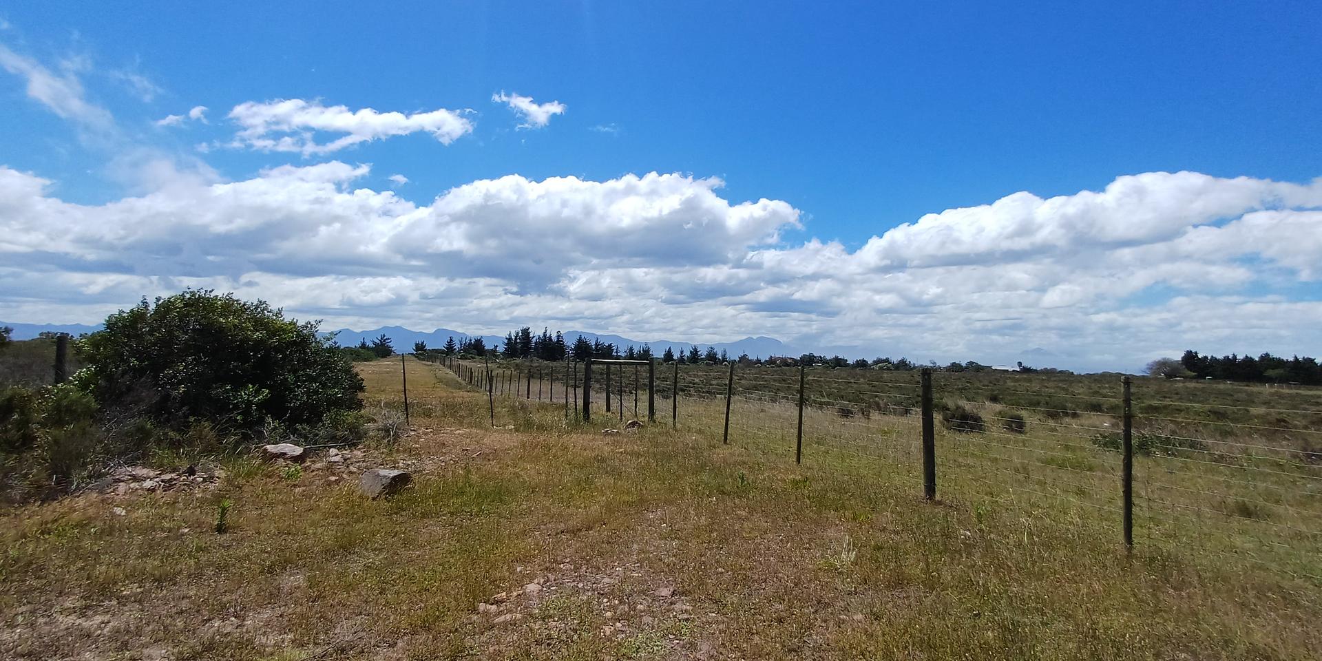 Image 3 of 6