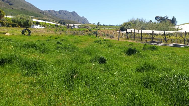 Main property image