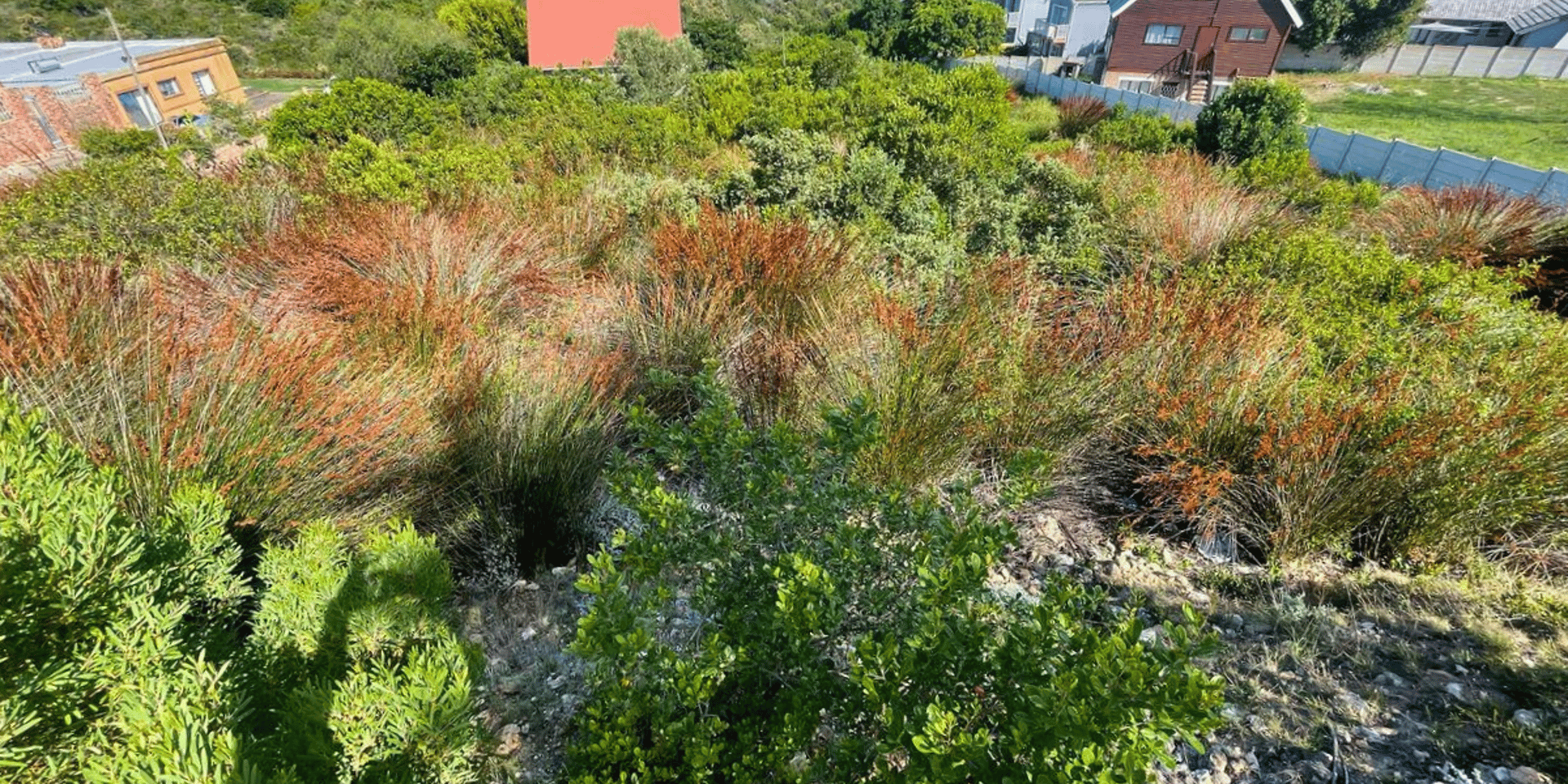 Image 4 of 6