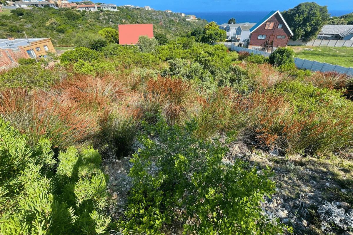 Image 4 of 6