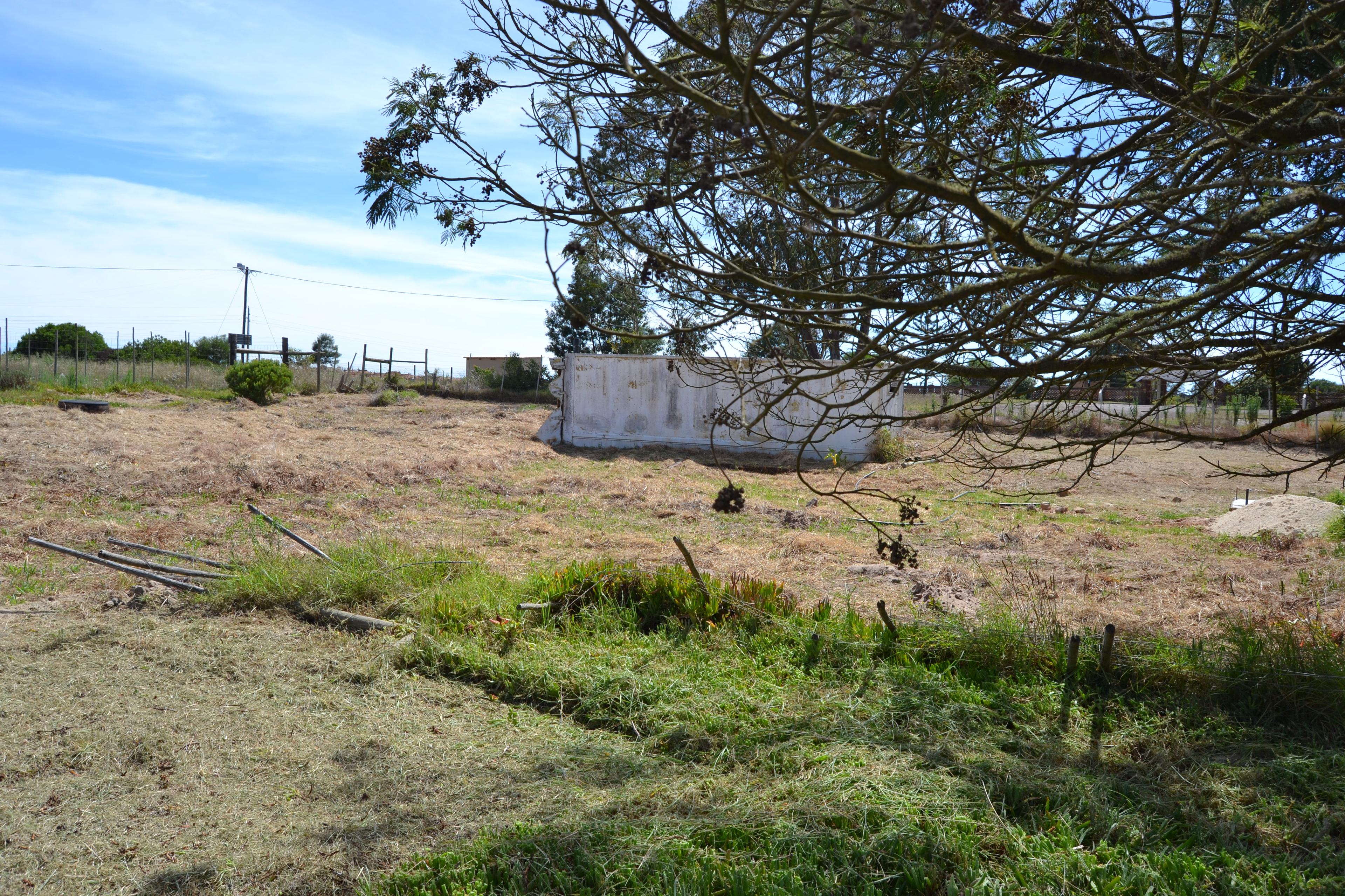 Image 12