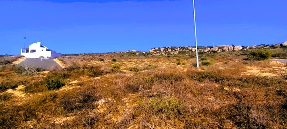 Image 5 of 6