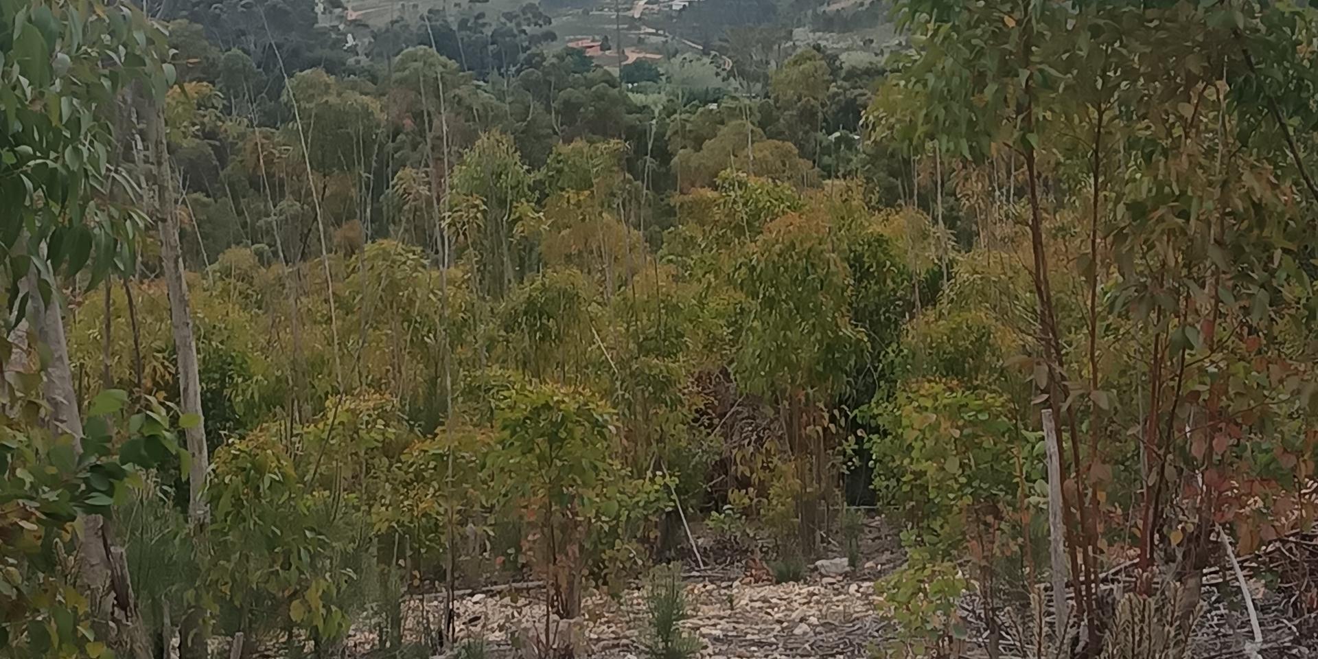 Image 4 of 6
