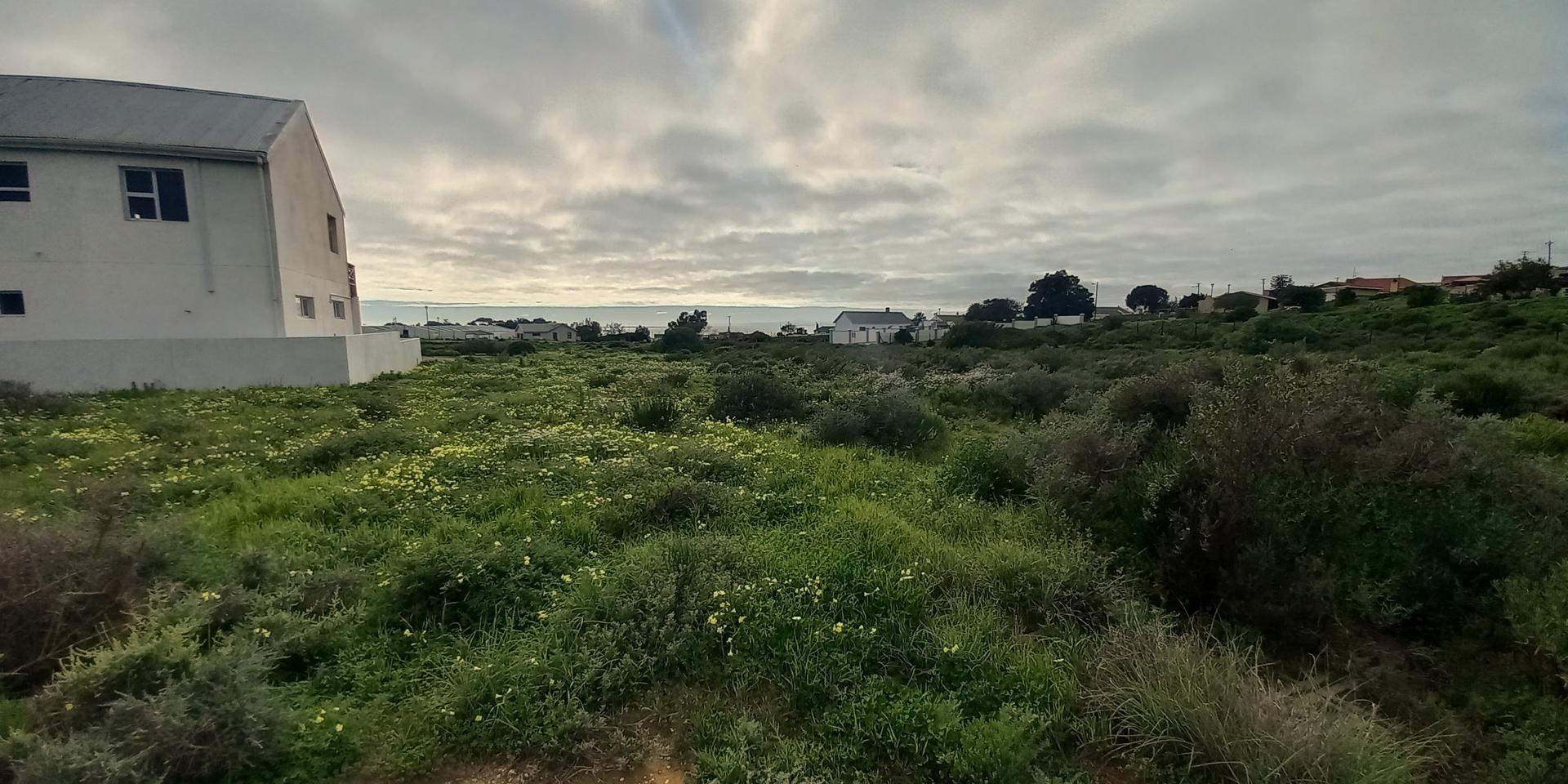 Image 5 of 6