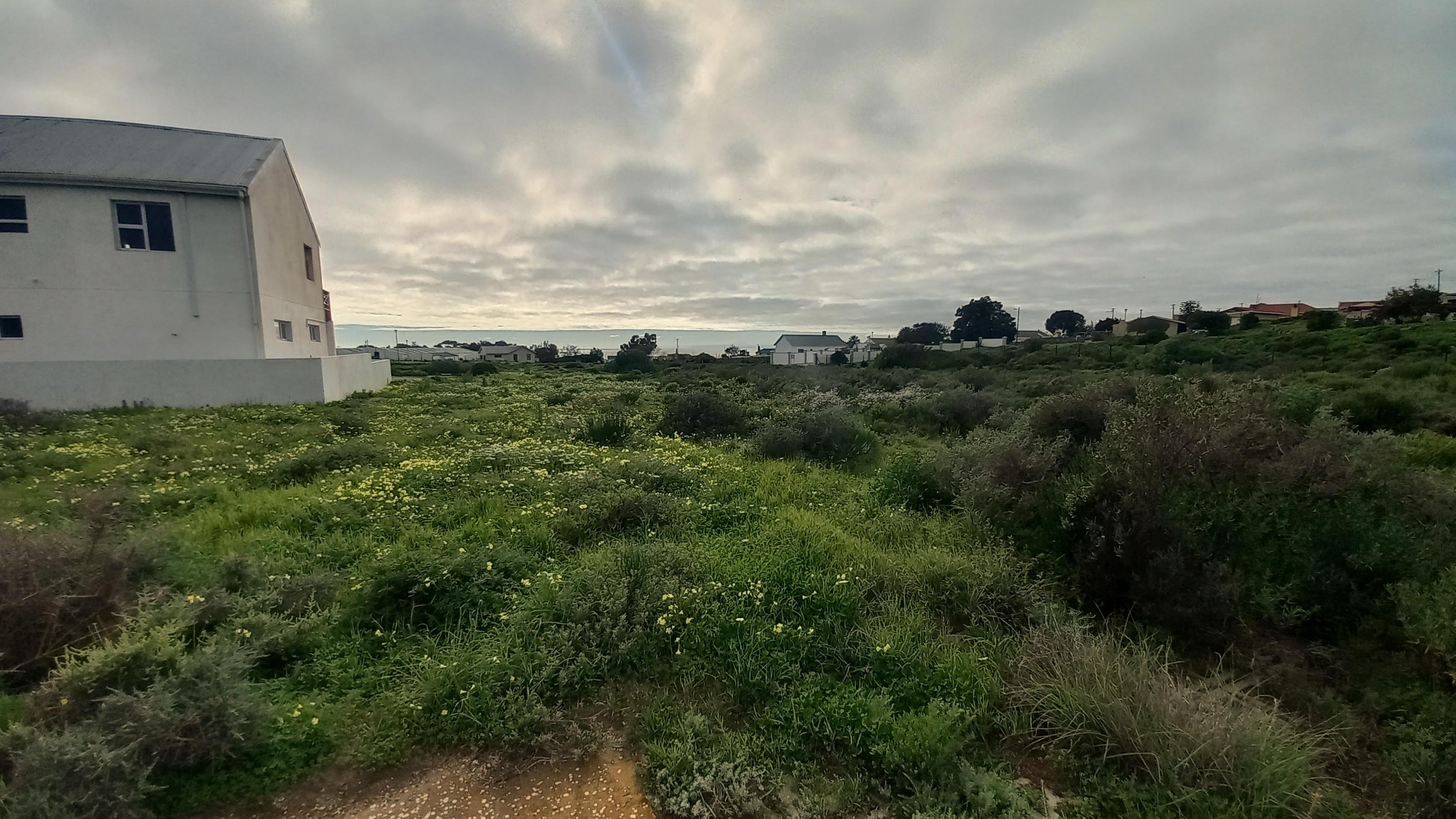 Image 5 of 6