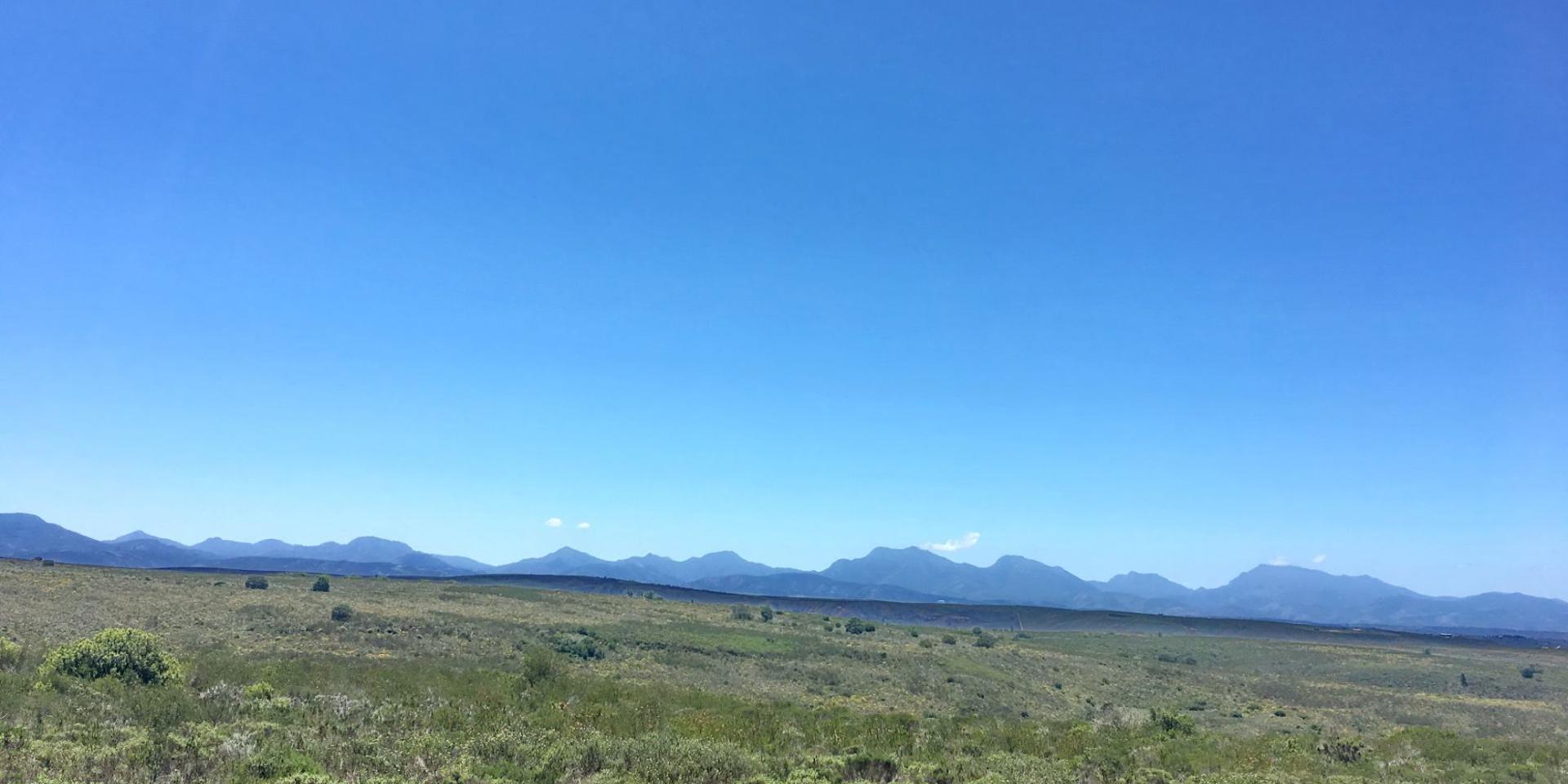 Image 3 of 6