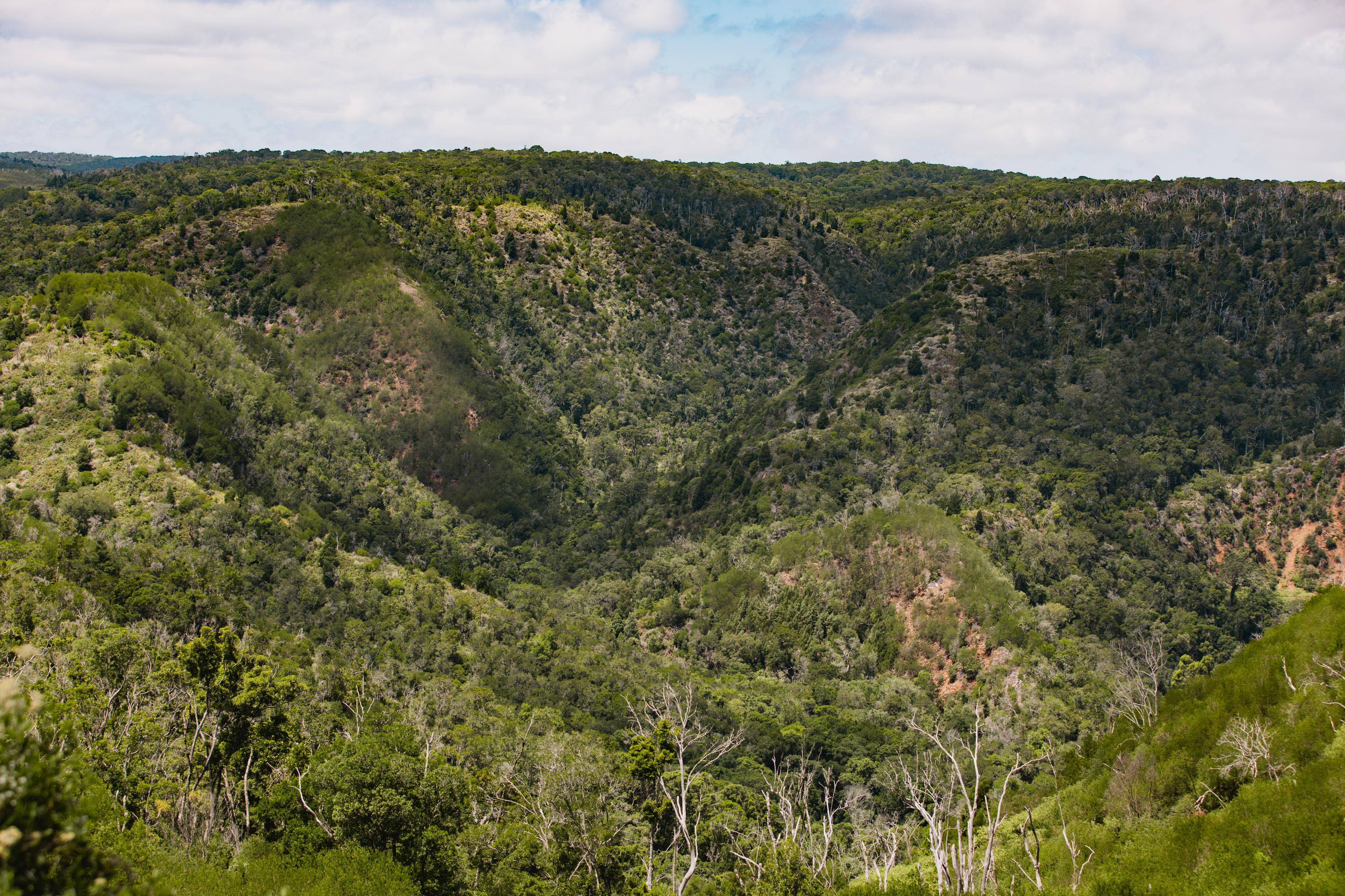 Image 13