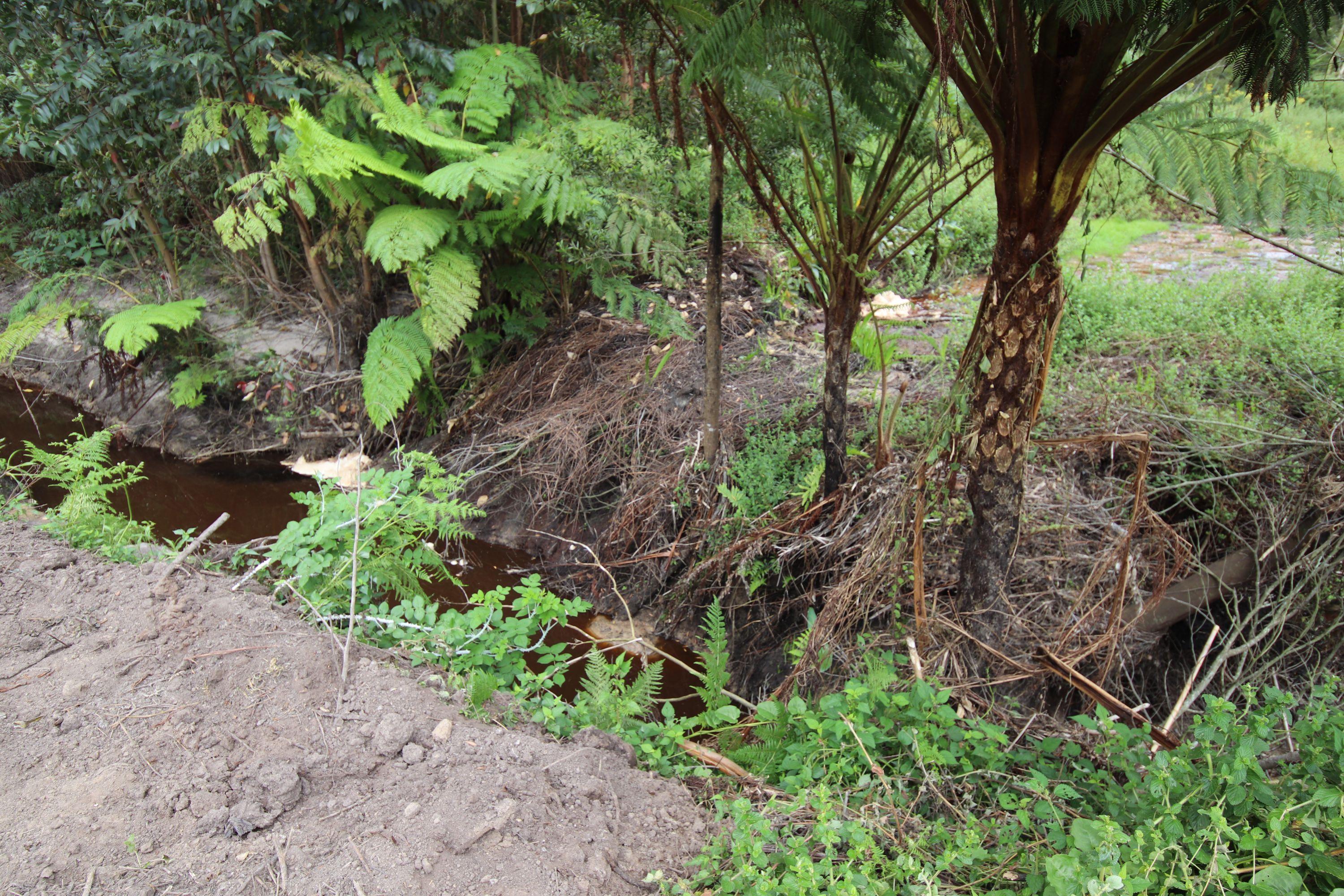 Image 12