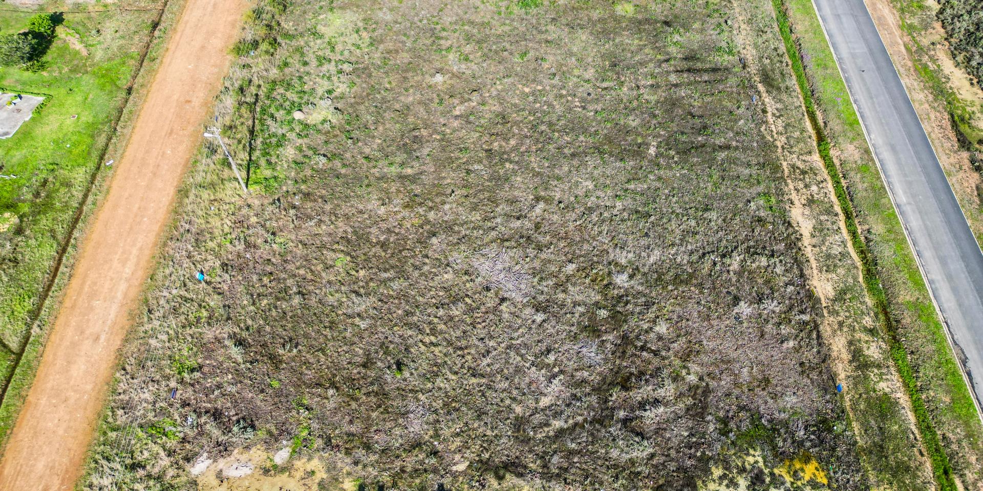 Image 4 of 6