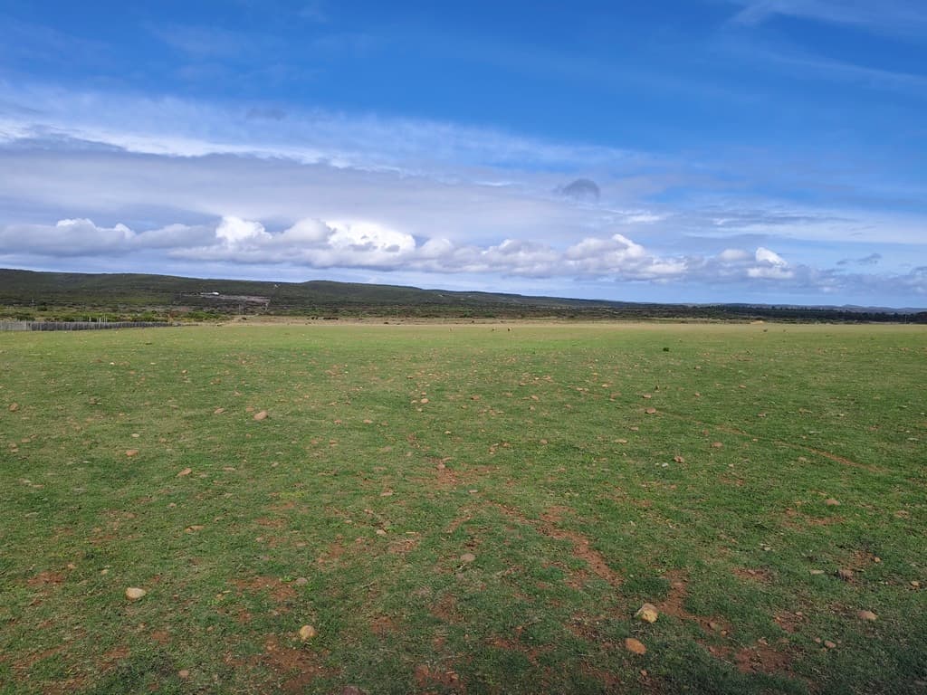Image 4 of 6