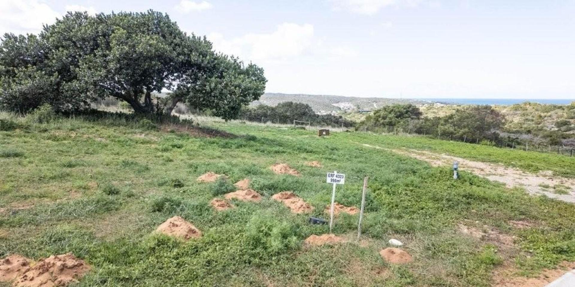 Image 4 of 6