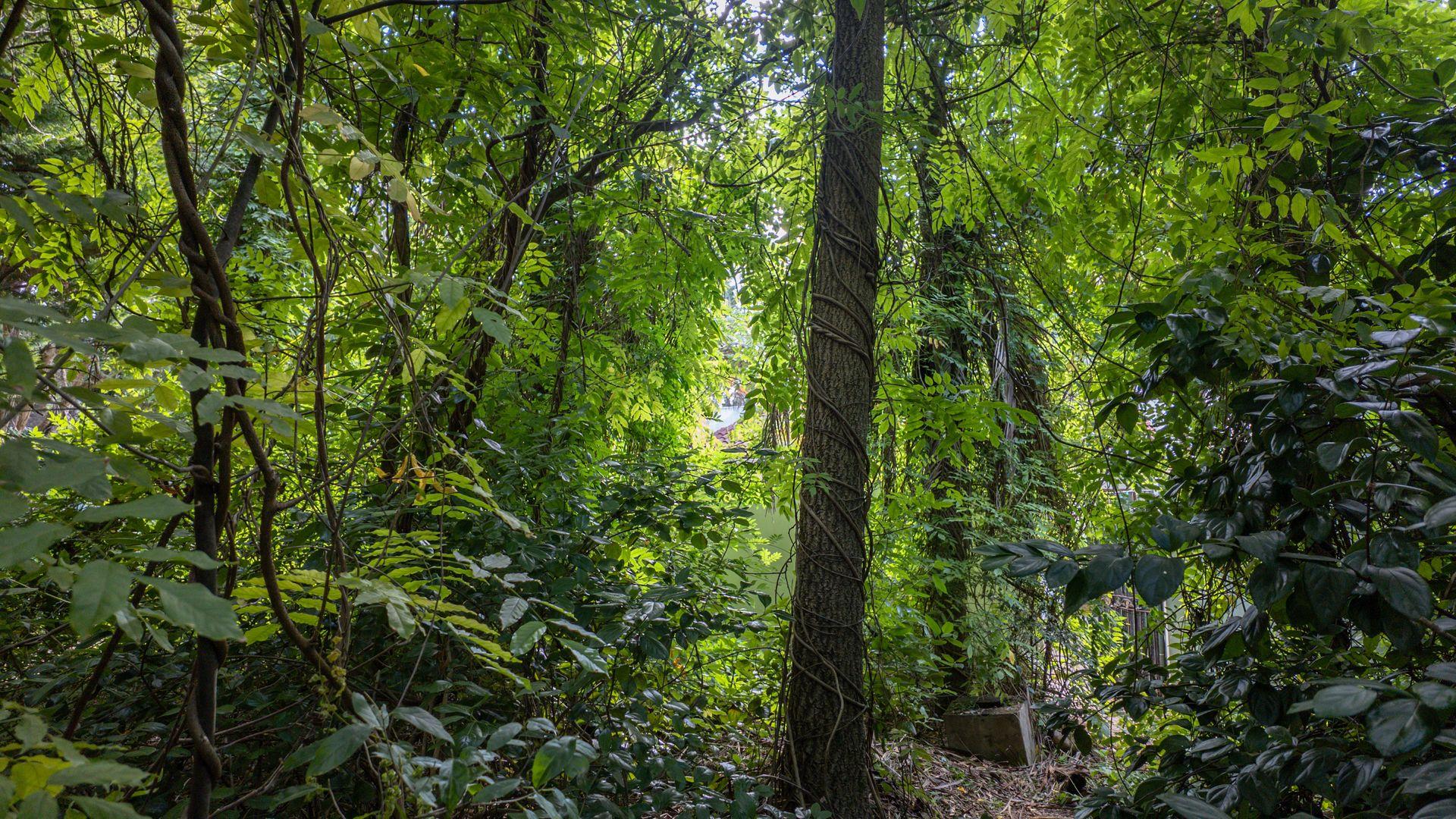 Image 2 of 6