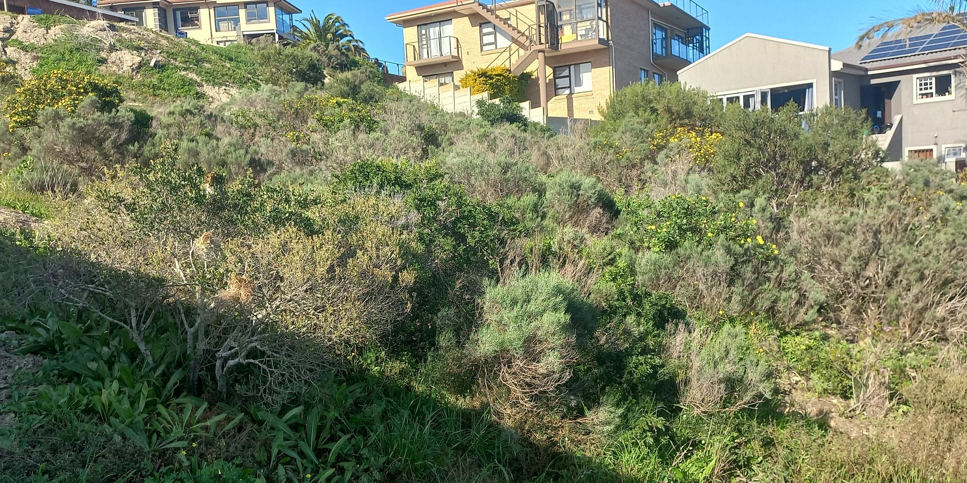 Image 3 of 6