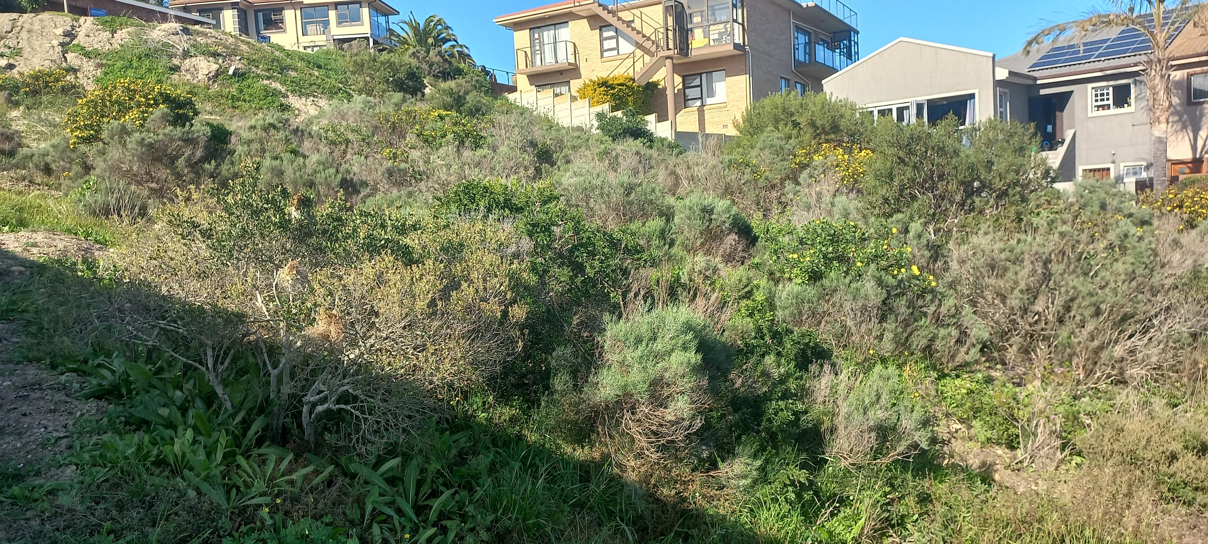 Image 3 of 6