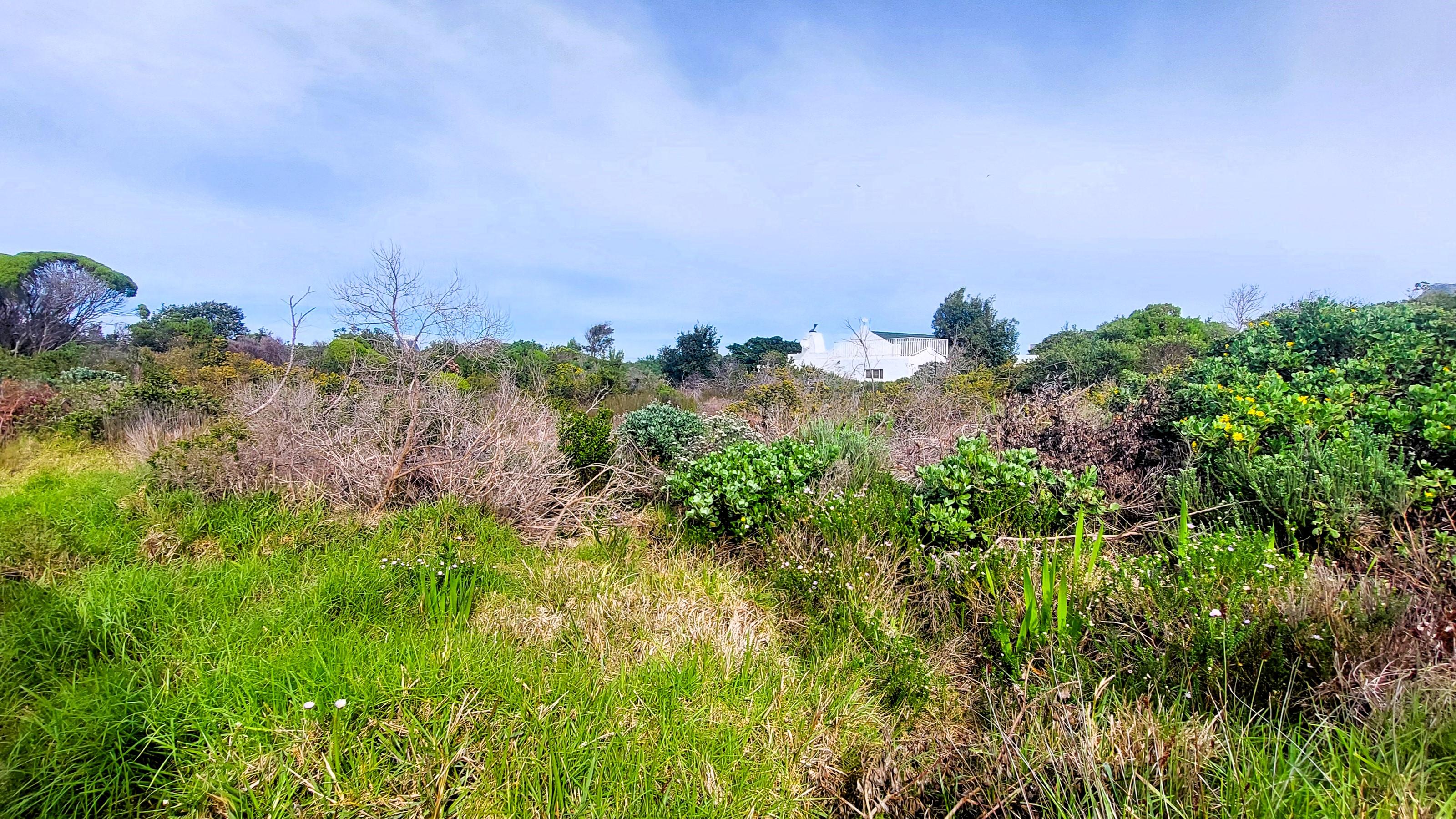 Image 4 of 6
