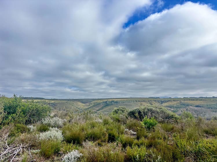 Main property image