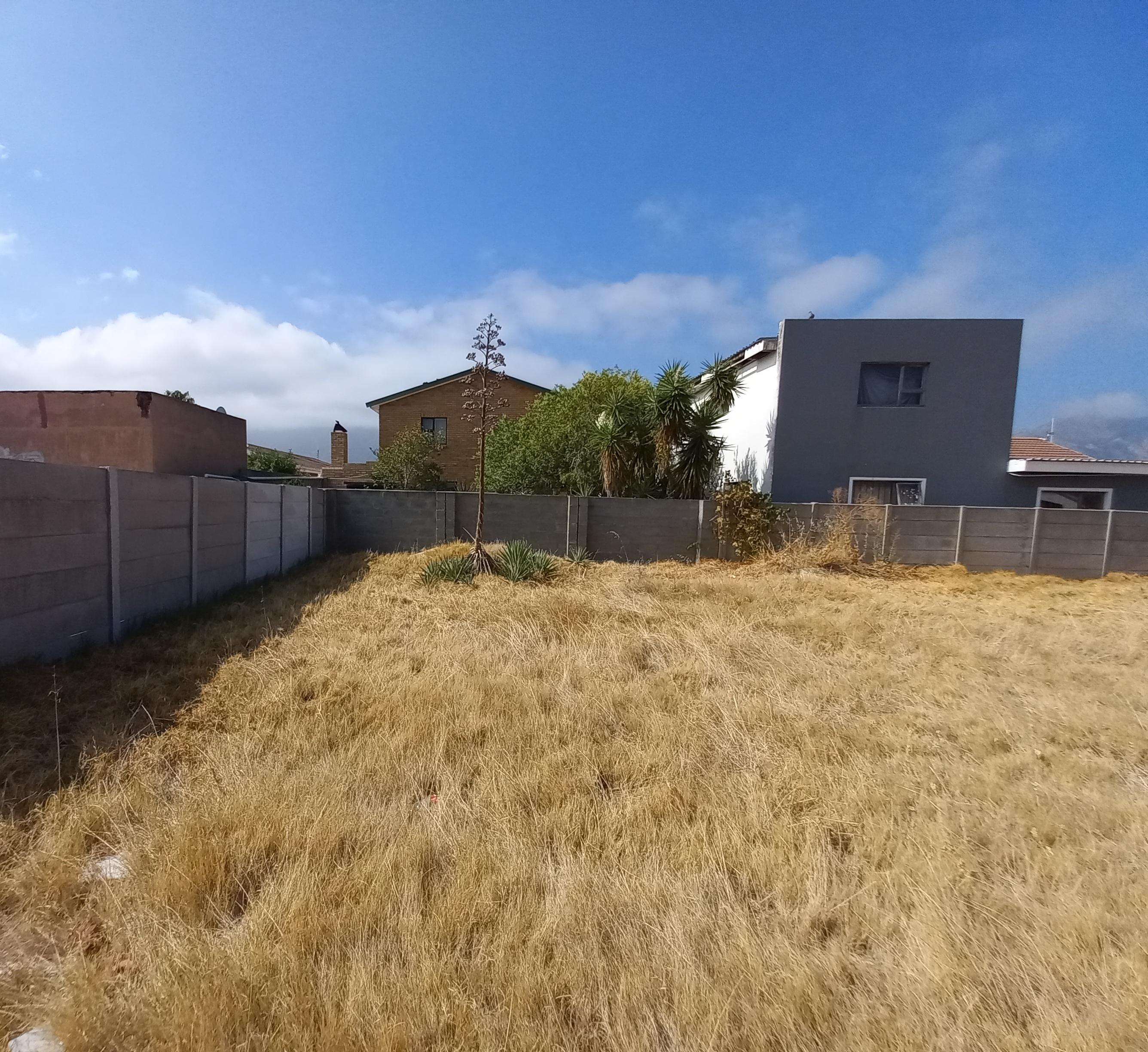 Image 6
