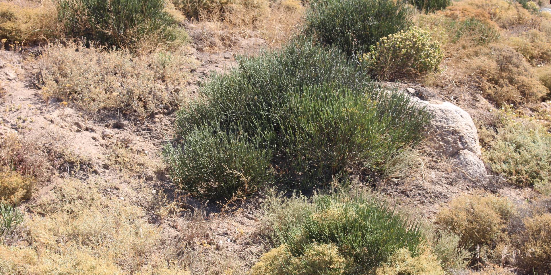 Image 5 of 6