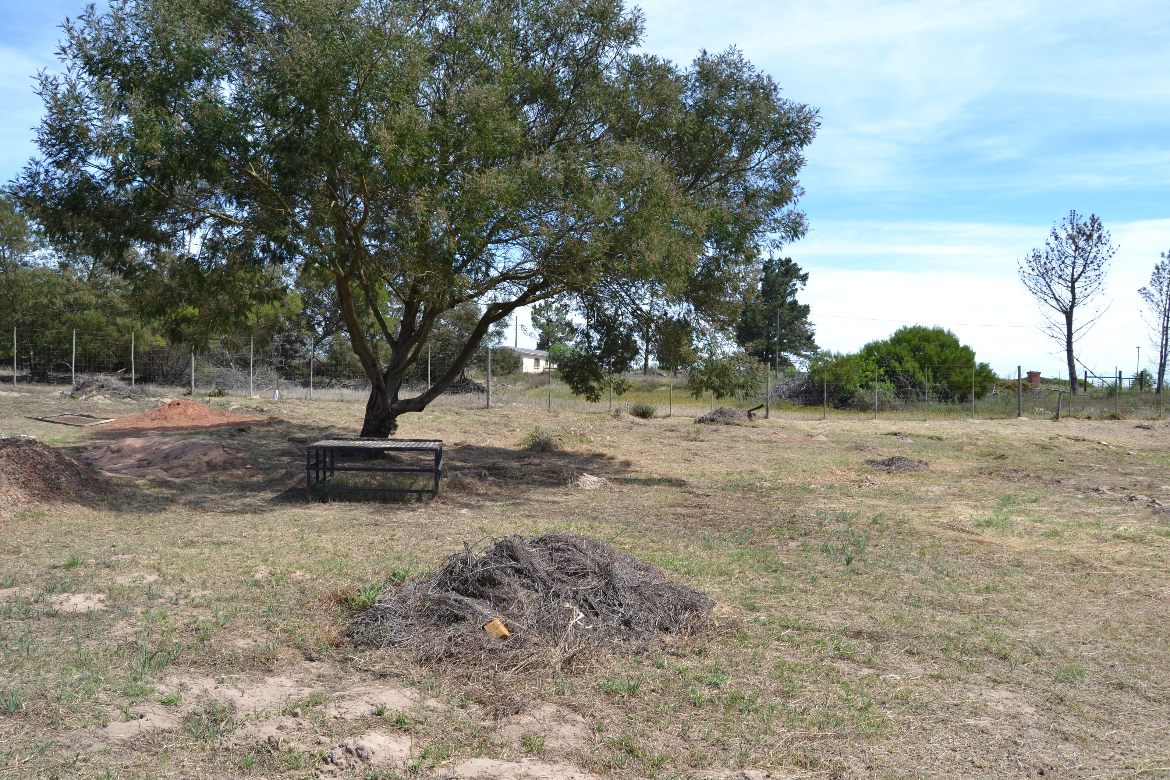 Image 13