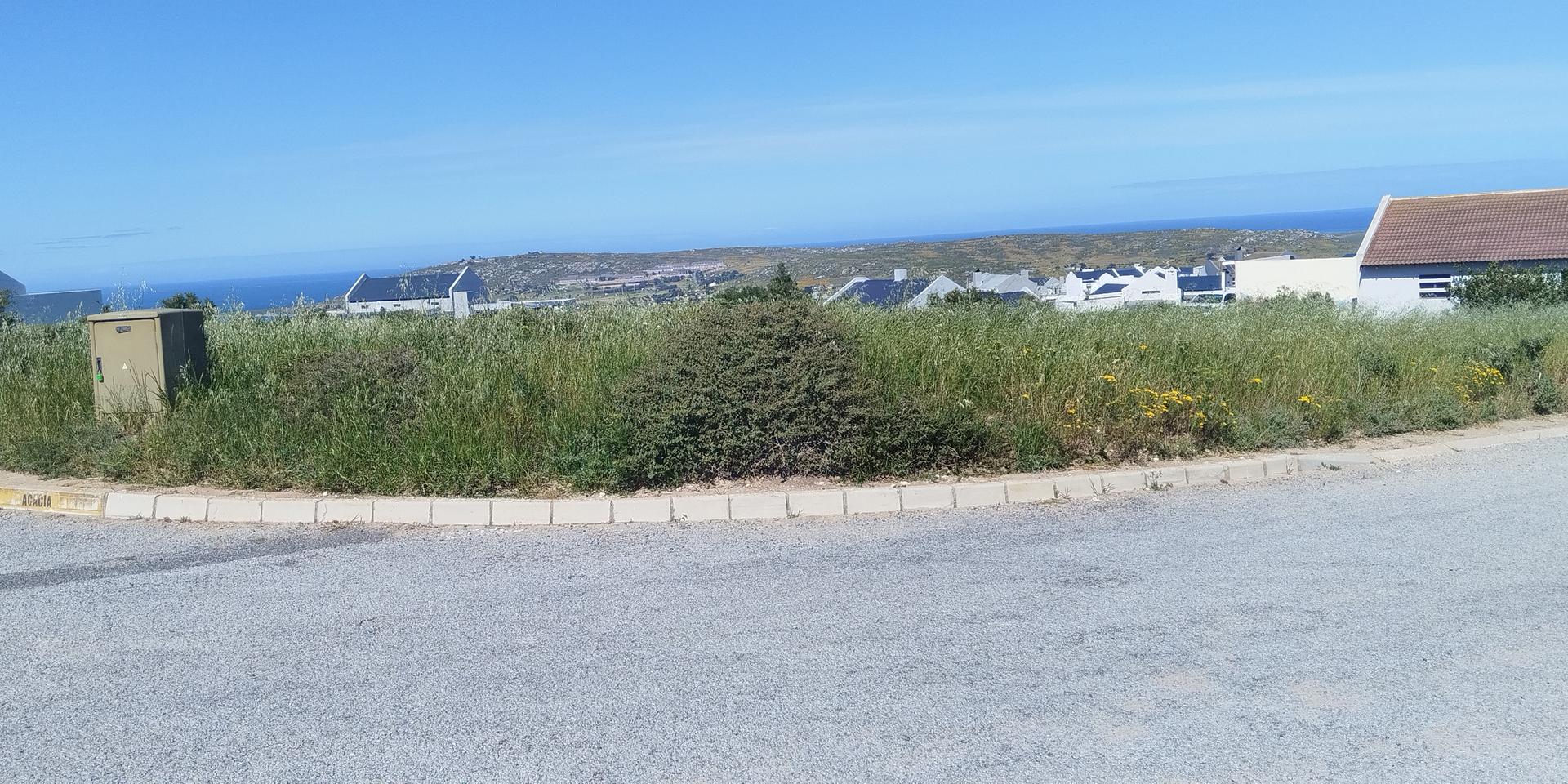 Image 2 of 6