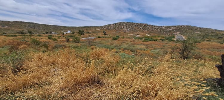 Main property image