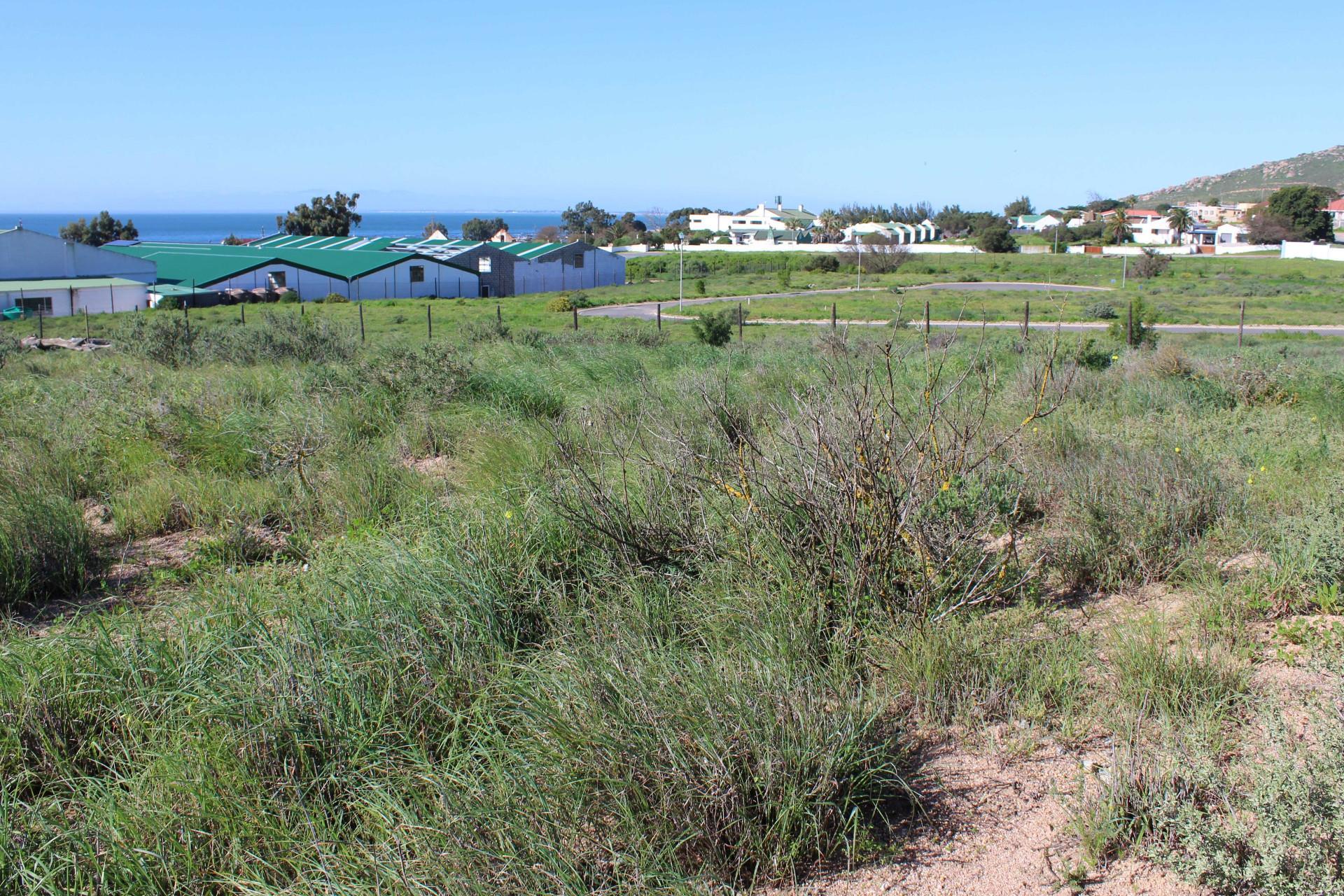 Image 4 of 6