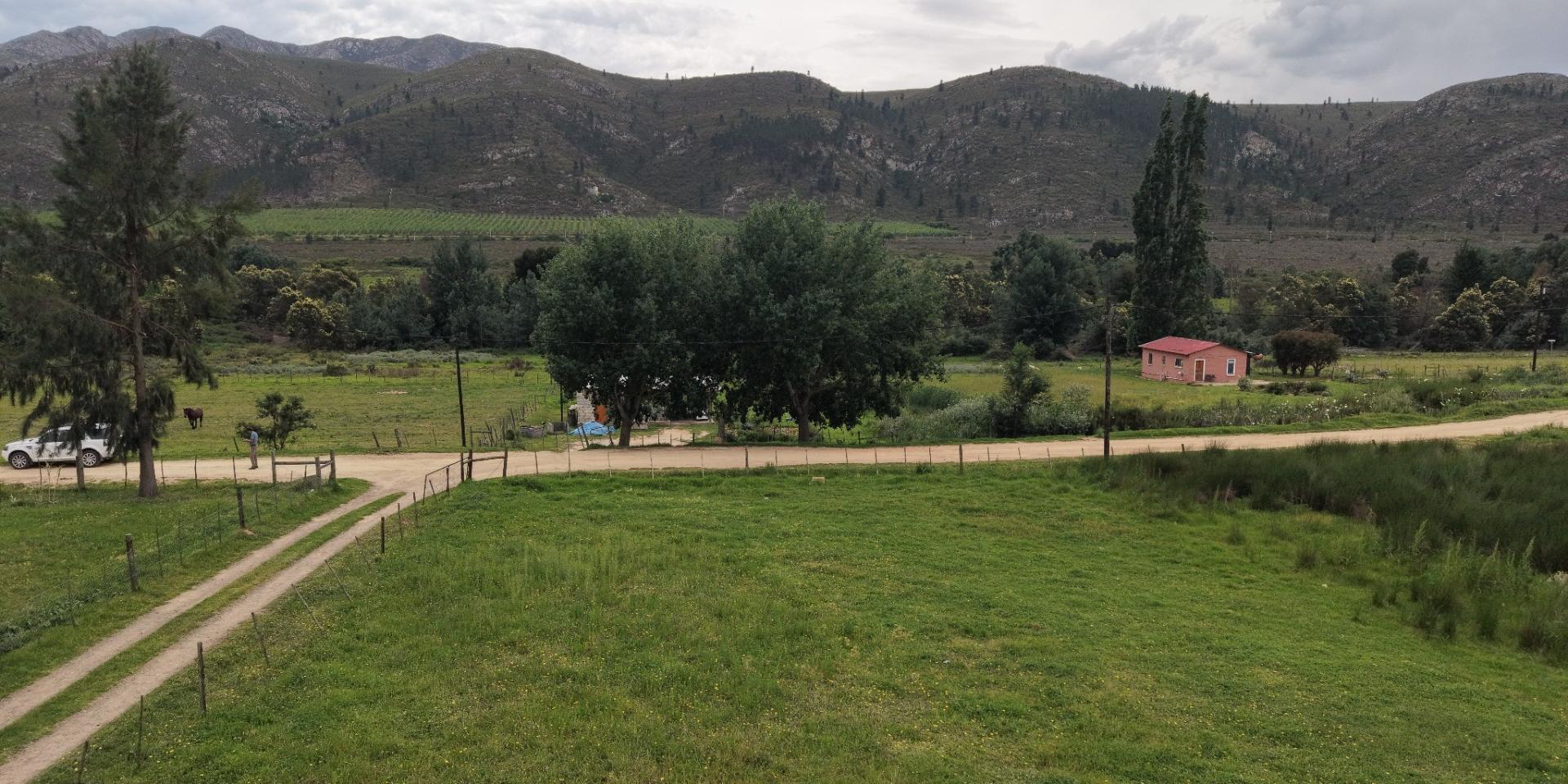 Image 3 of 6
