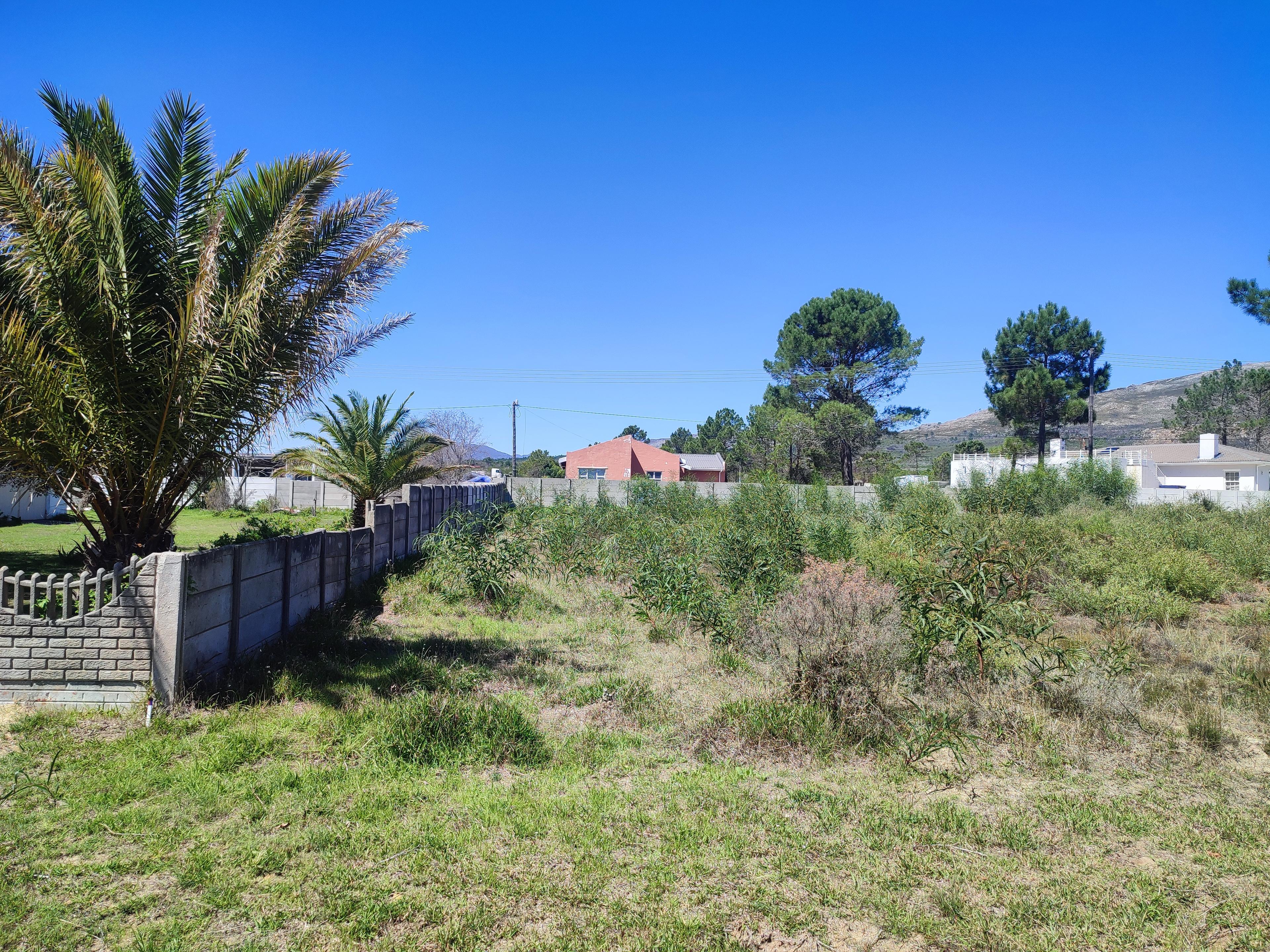 Image 5 of 6