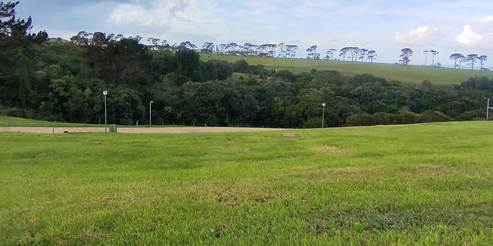 Image 5 of 6